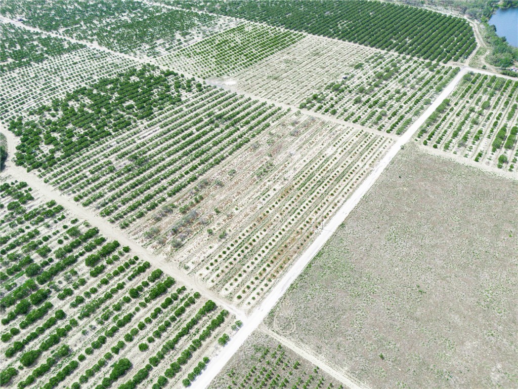 Gilbert Road Lake Wales FL 33898 P4934701 image13