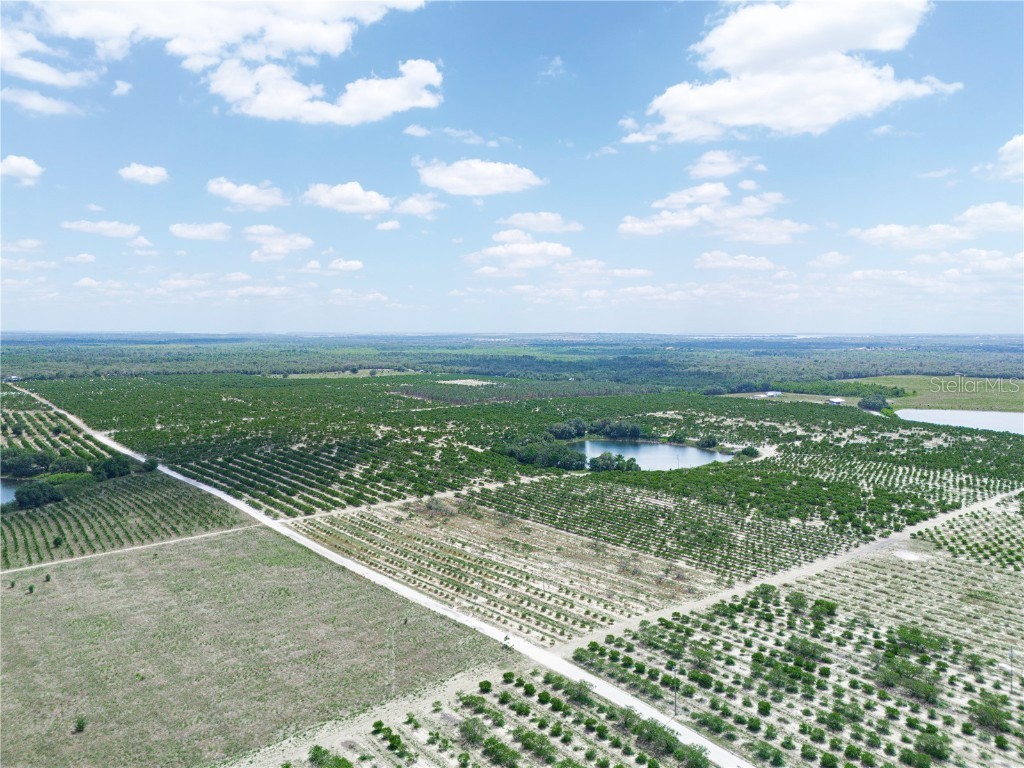 Gilbert Road Lake Wales FL 33898 P4934701 image15