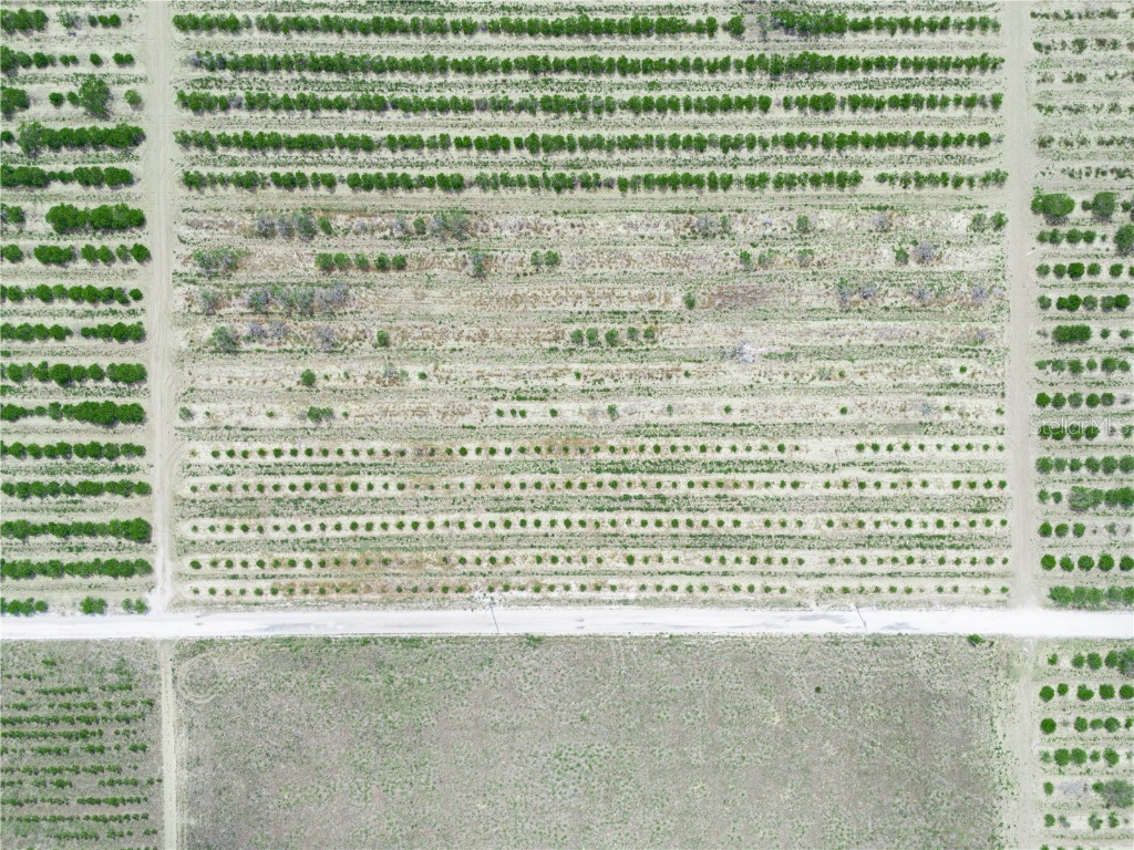 Gilbert Road Lake Wales FL 33898 P4934701 image16