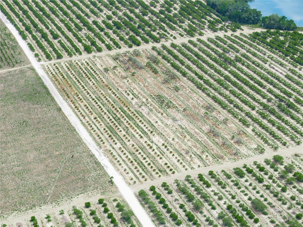 Gilbert Road Lake Wales FL 33898 P4934701 image17