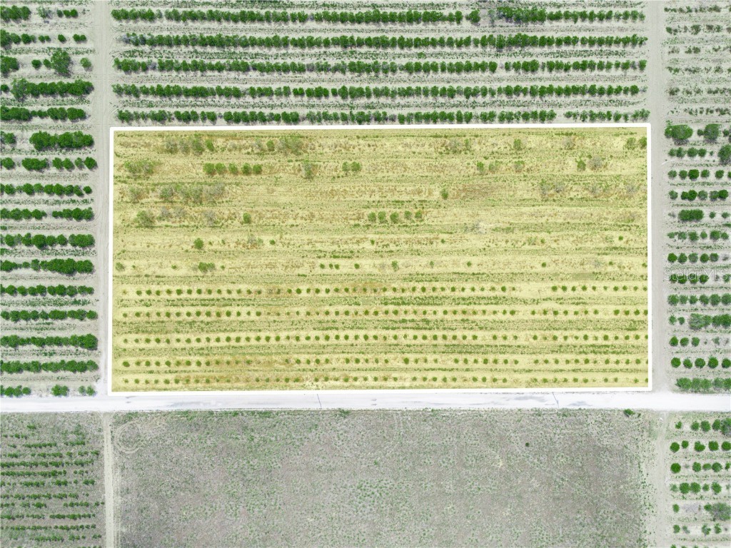 Gilbert Road Lake Wales FL 33898 P4934701 image4