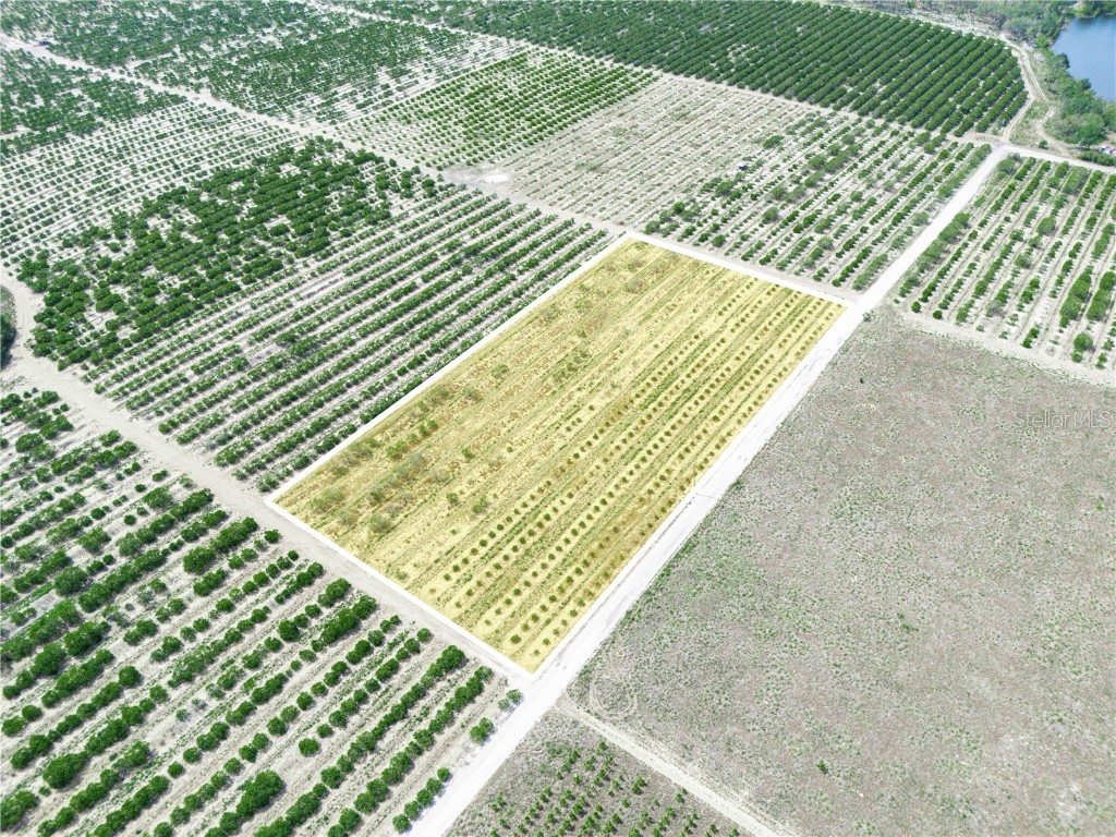 Gilbert Road Lake Wales FL 33898 P4934701 image5