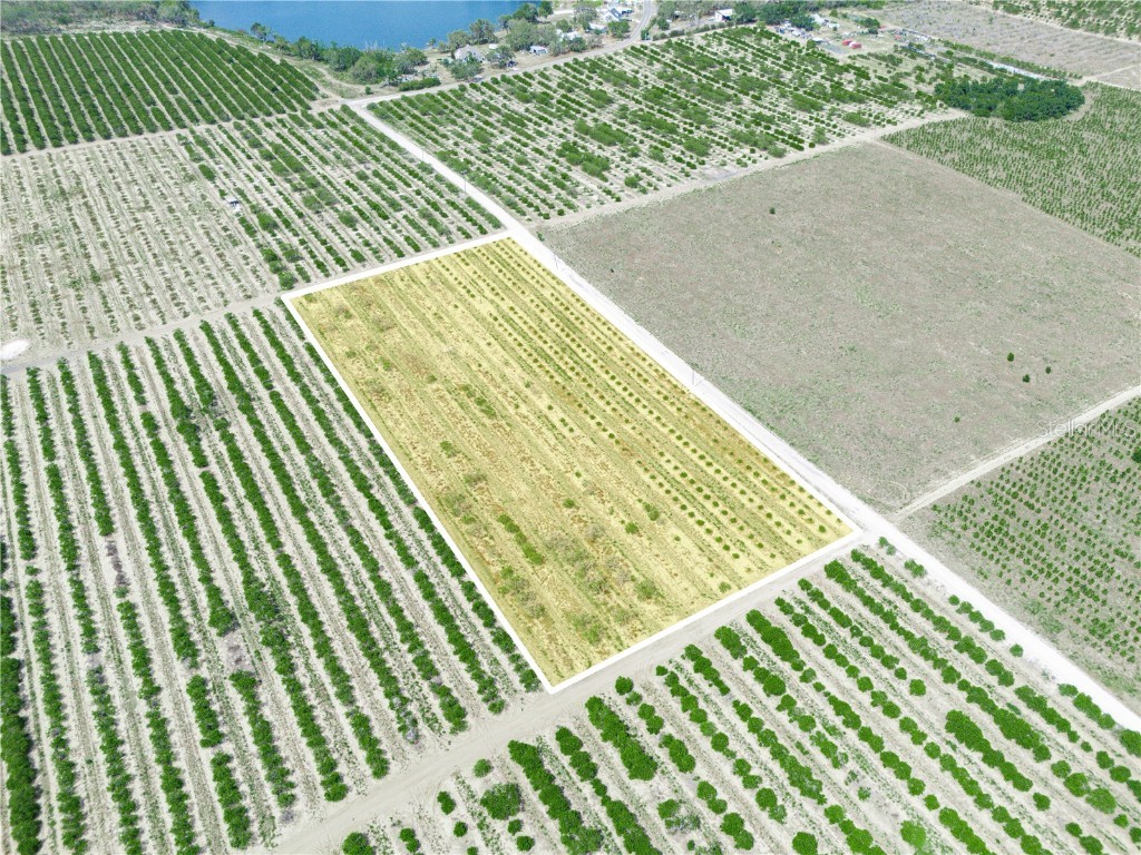 Gilbert Road Lake Wales FL 33898 P4934701 image6