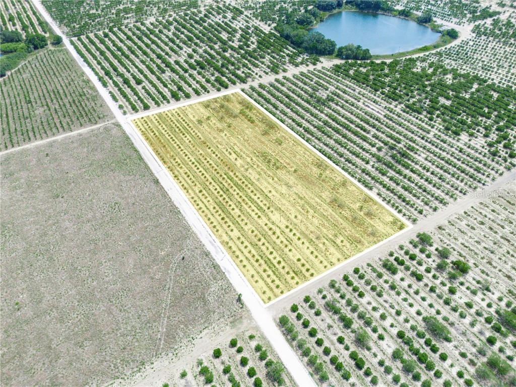 Gilbert Road Lake Wales FL 33898 P4934701 image7