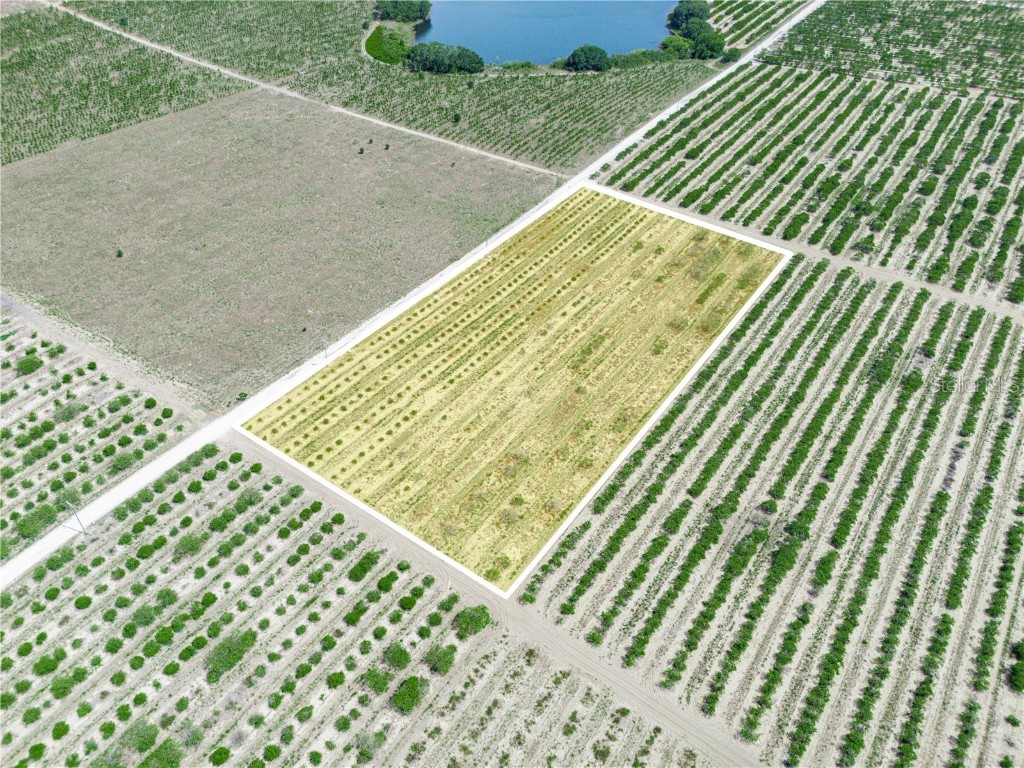 Gilbert Road Lake Wales FL 33898 P4934701 image8