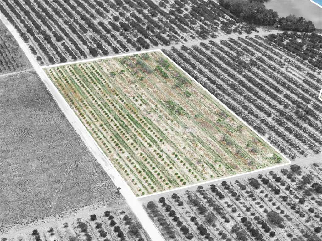 Gilbert Road Lake Wales FL 33898 P4934701 image9