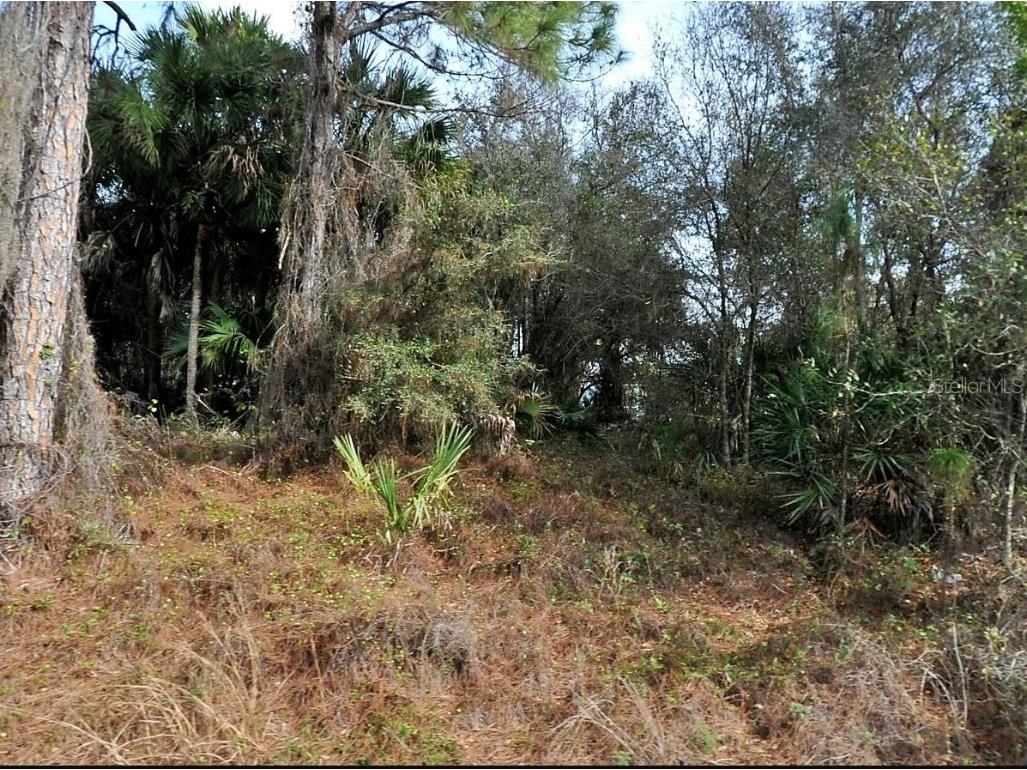 Gilbert Street North Port FL 34288 N6140138 image1