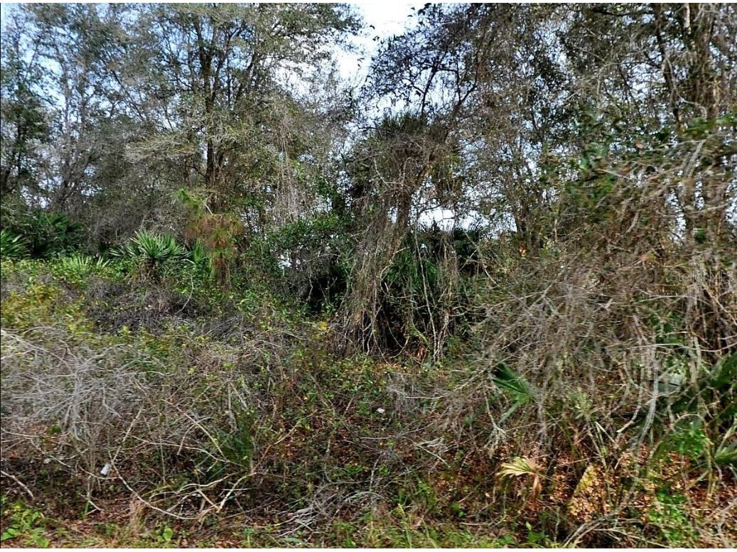 Gilbert Street North Port FL 34288 N6140141 image1