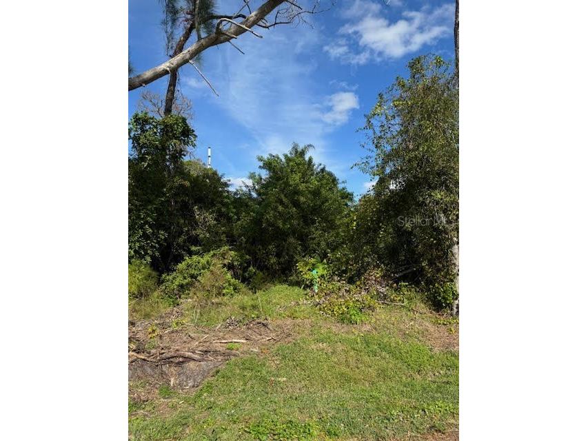 Gillespie Street Englewood FL 34223 A4597021 image4