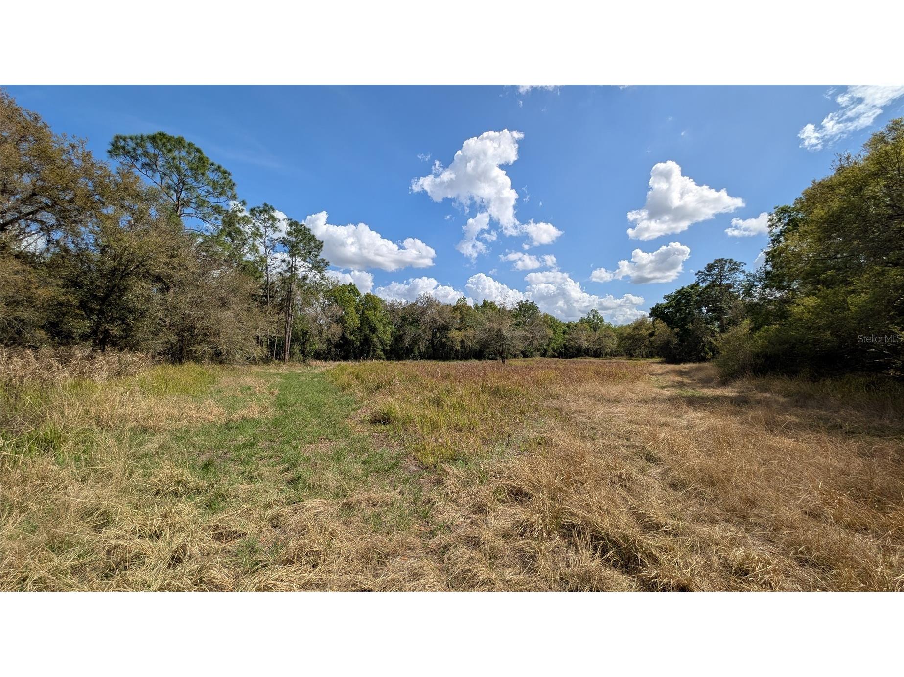 Gillette Road Zolfo Springs FL 33890 P4938092 image1