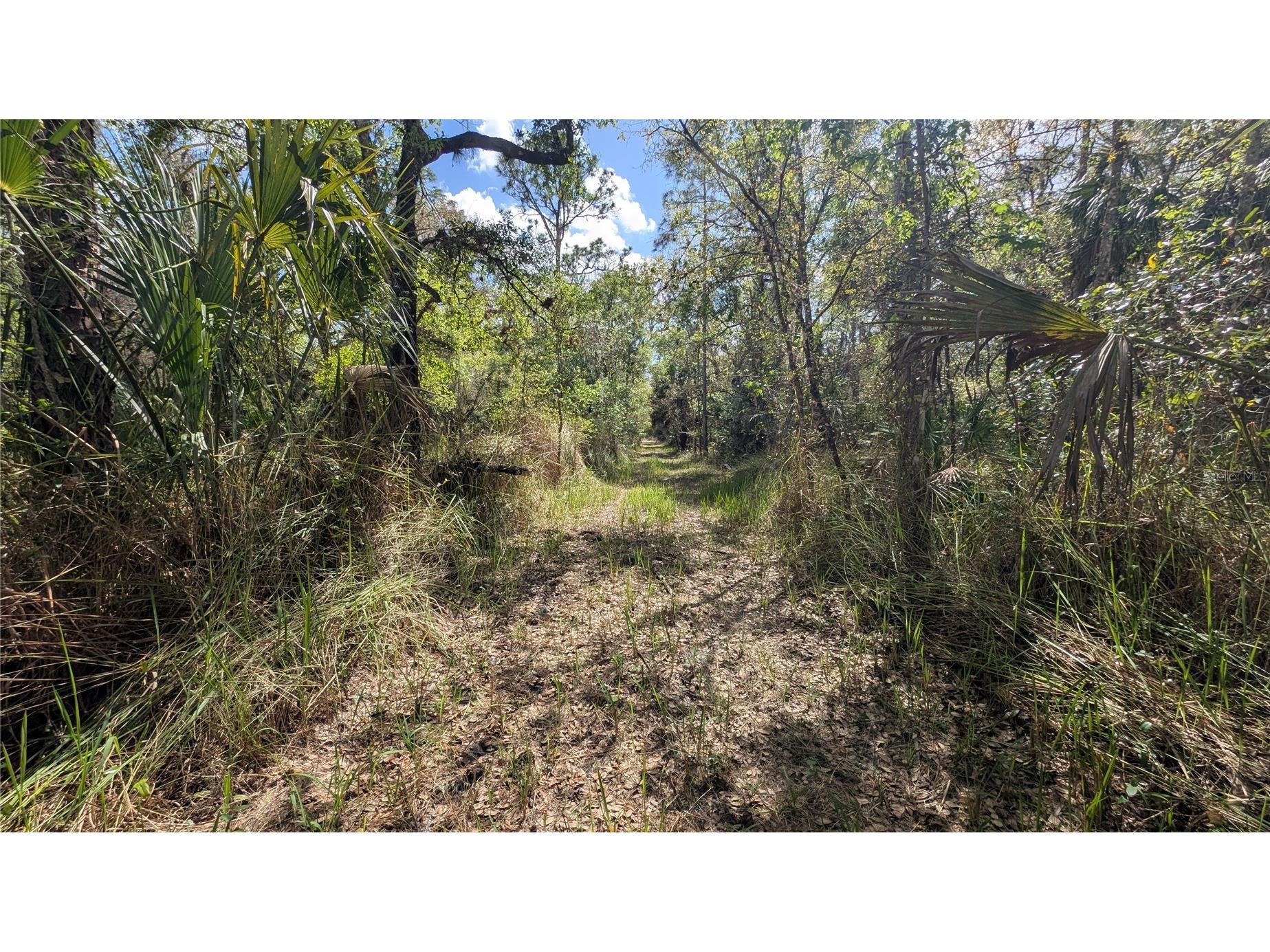 Gillette Road Zolfo Springs FL 33890 P4938092 image10