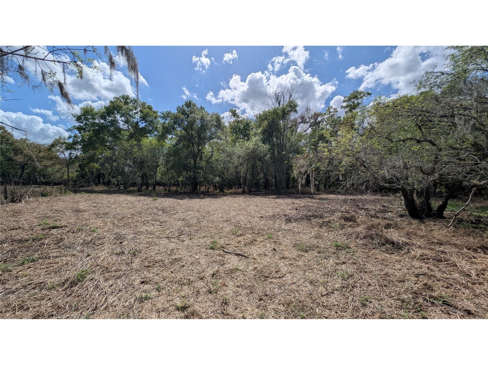 Gillette Road Zolfo Springs FL 33890 P4938092 image11