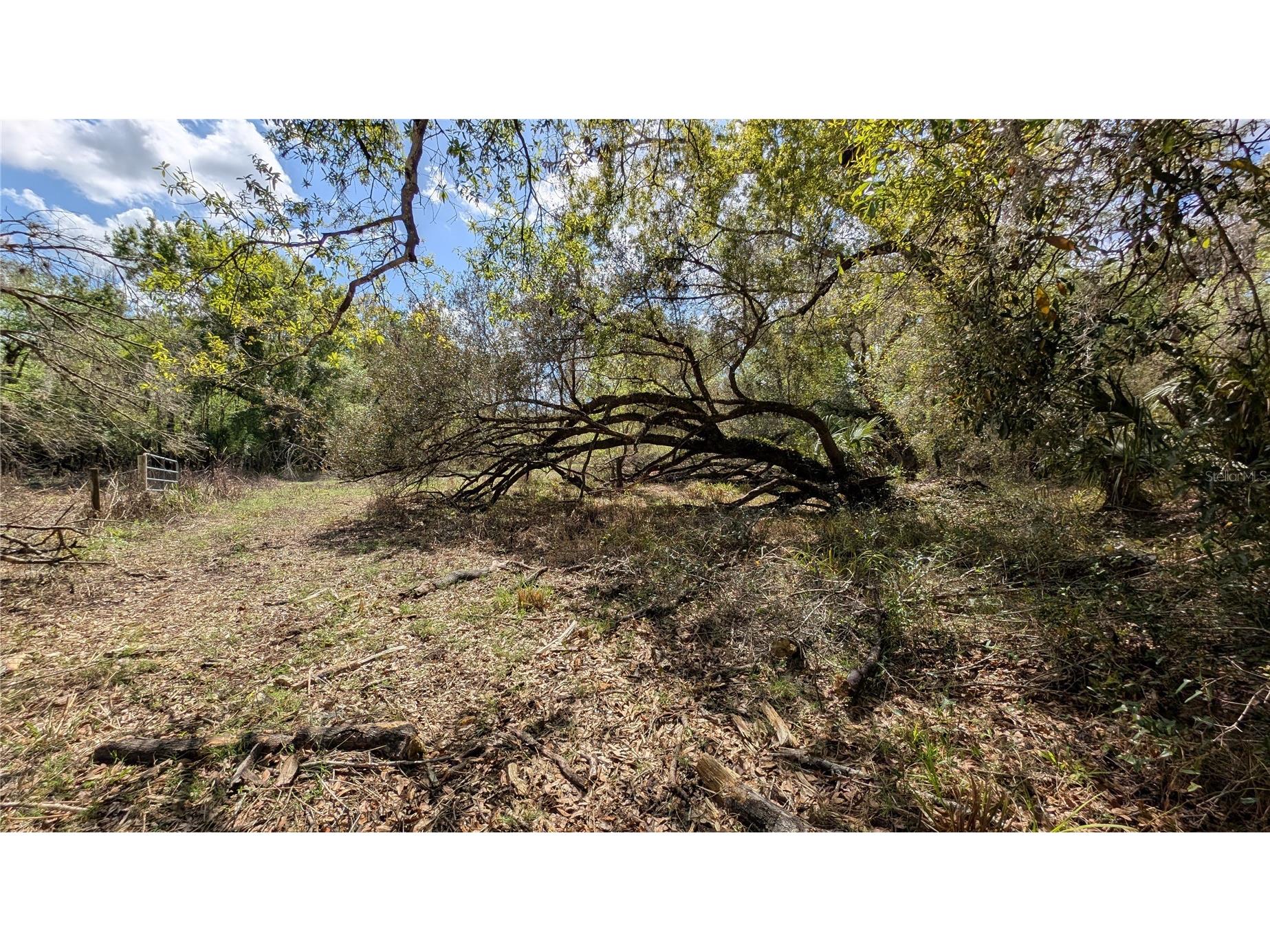 Gillette Road Zolfo Springs FL 33890 P4938092 image12