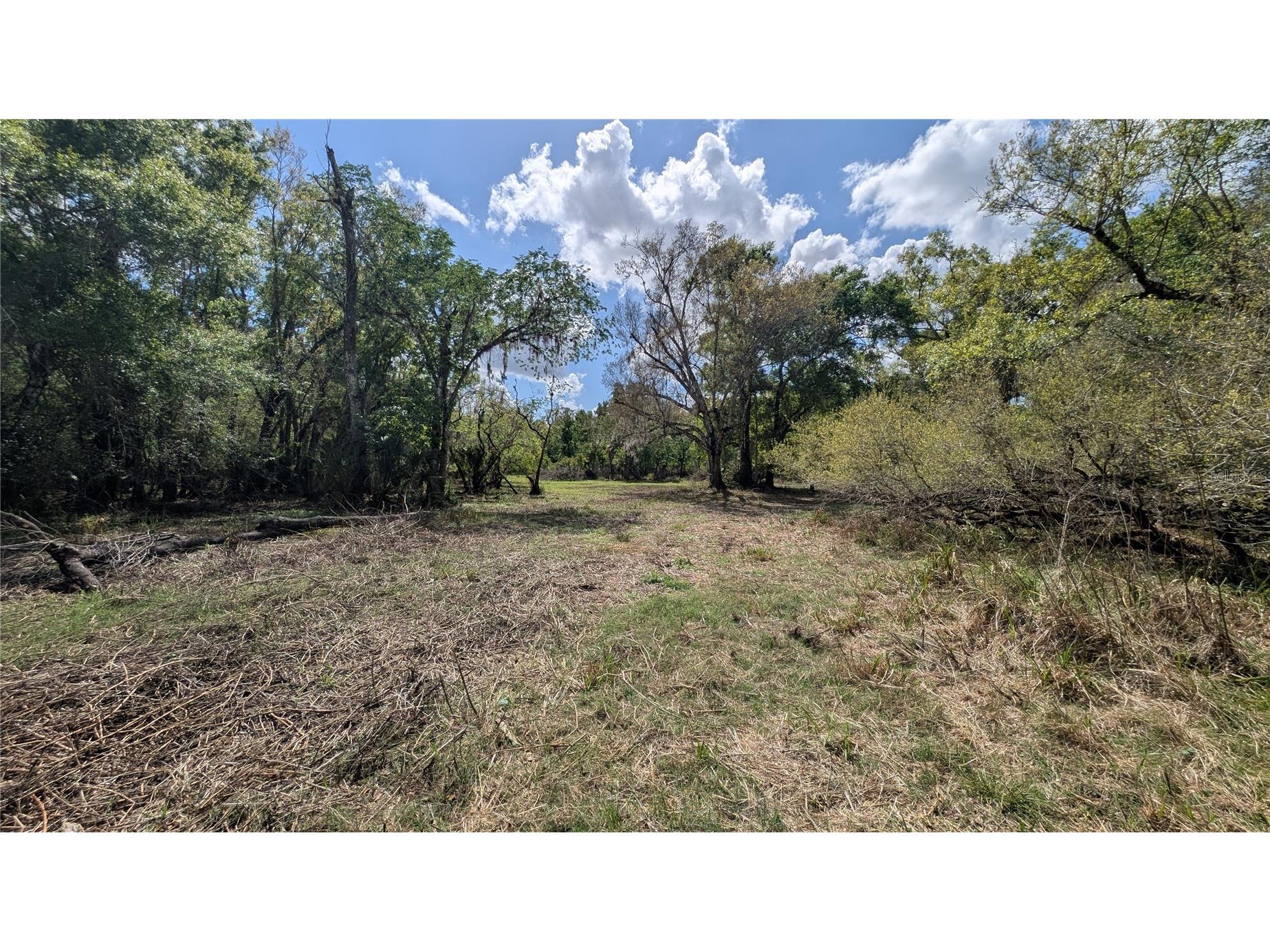 Gillette Road Zolfo Springs FL 33890 P4938092 image13