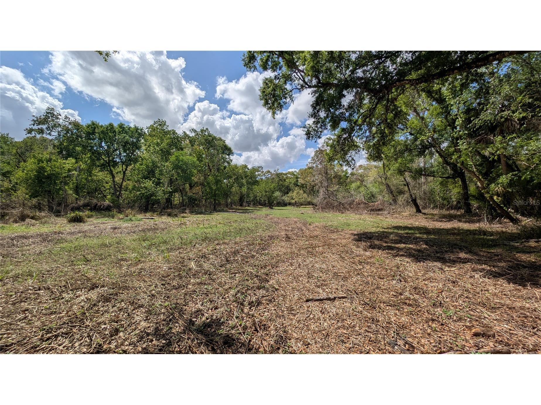 Gillette Road Zolfo Springs FL 33890 P4938092 image14