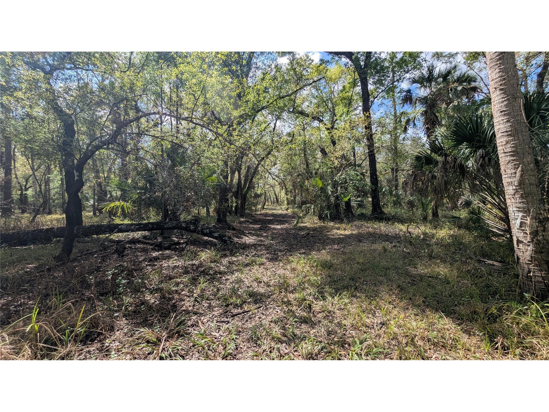Gillette Road Zolfo Springs FL 33890 P4938092 image15