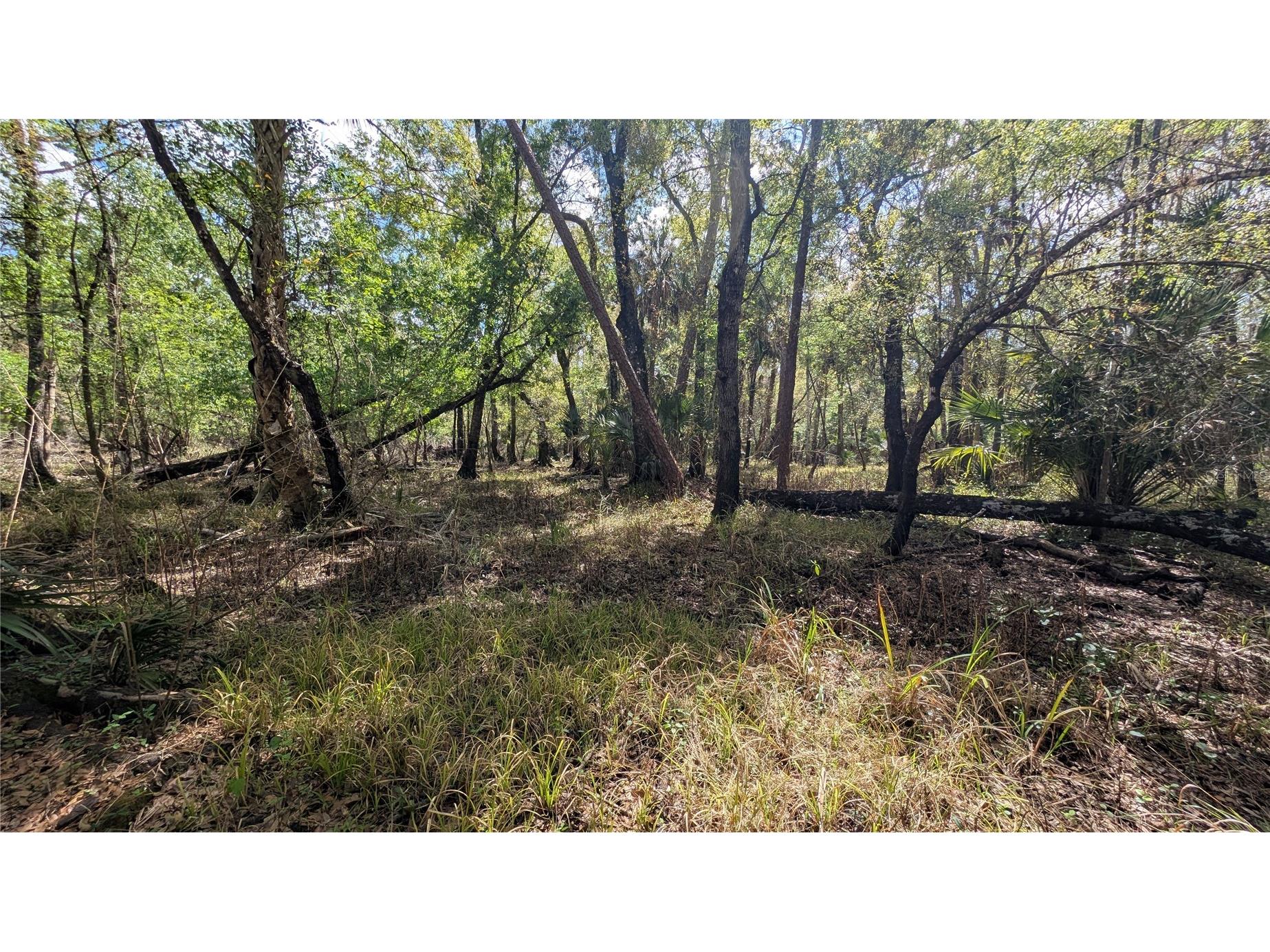 Gillette Road Zolfo Springs FL 33890 P4938092 image16