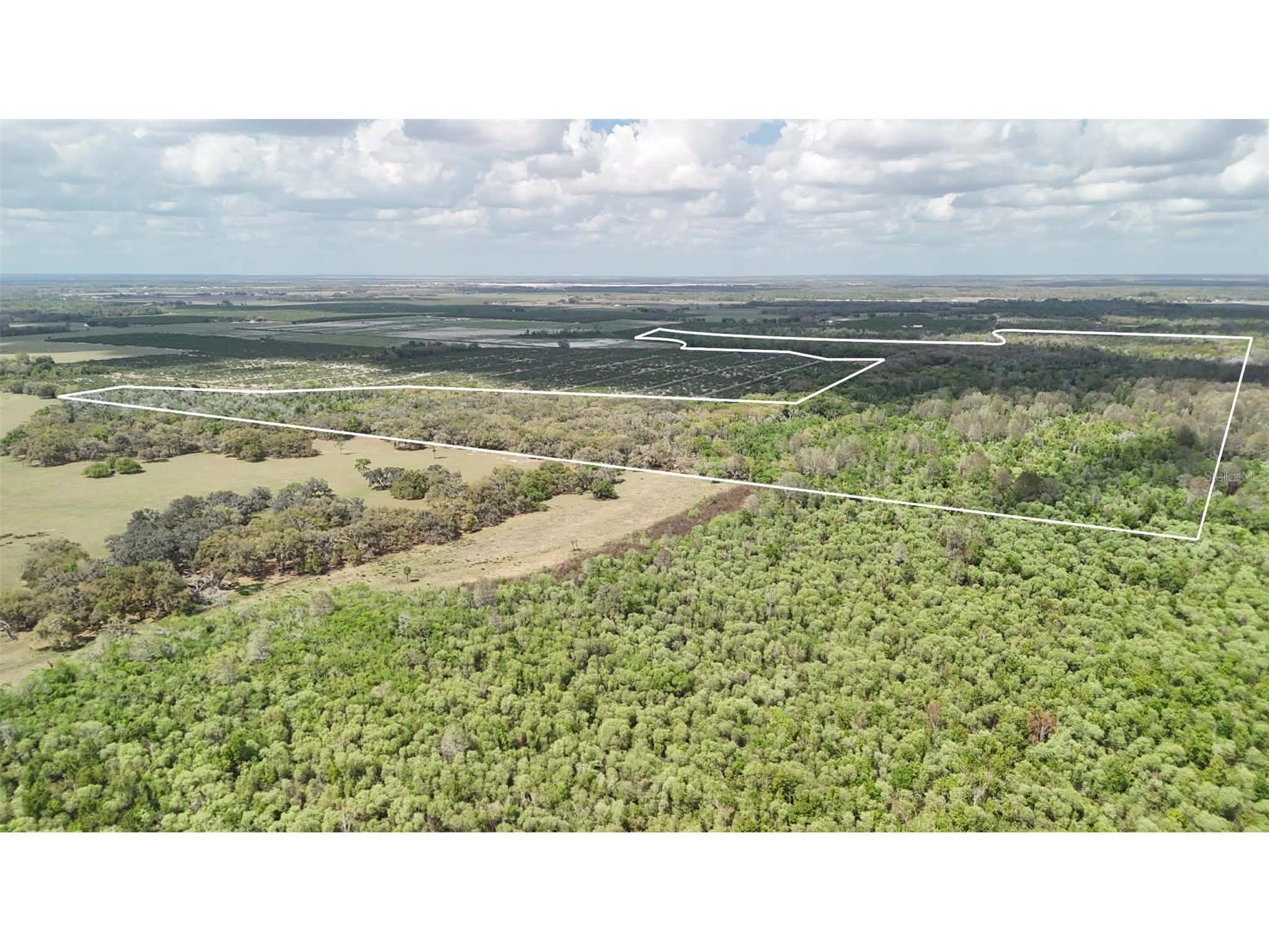 Gillette Road Zolfo Springs FL 33890 P4938092 image17