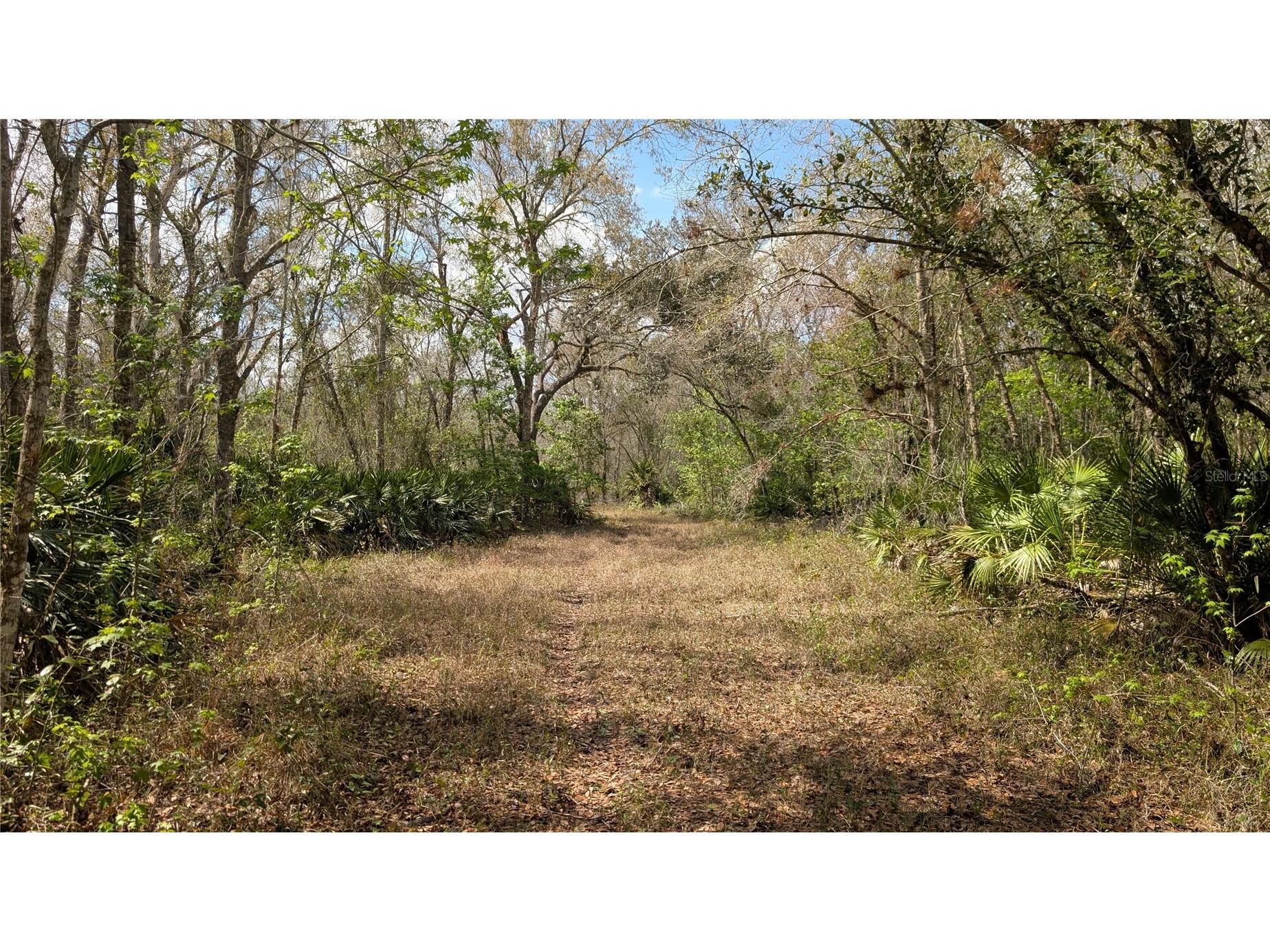 Gillette Road Zolfo Springs FL 33890 P4938092 image19