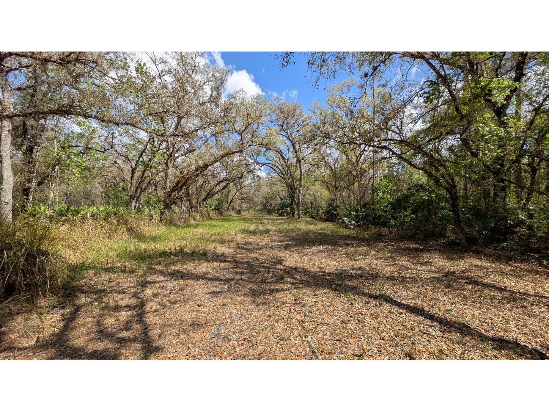 Gillette Road Zolfo Springs FL 33890 P4938092 image2