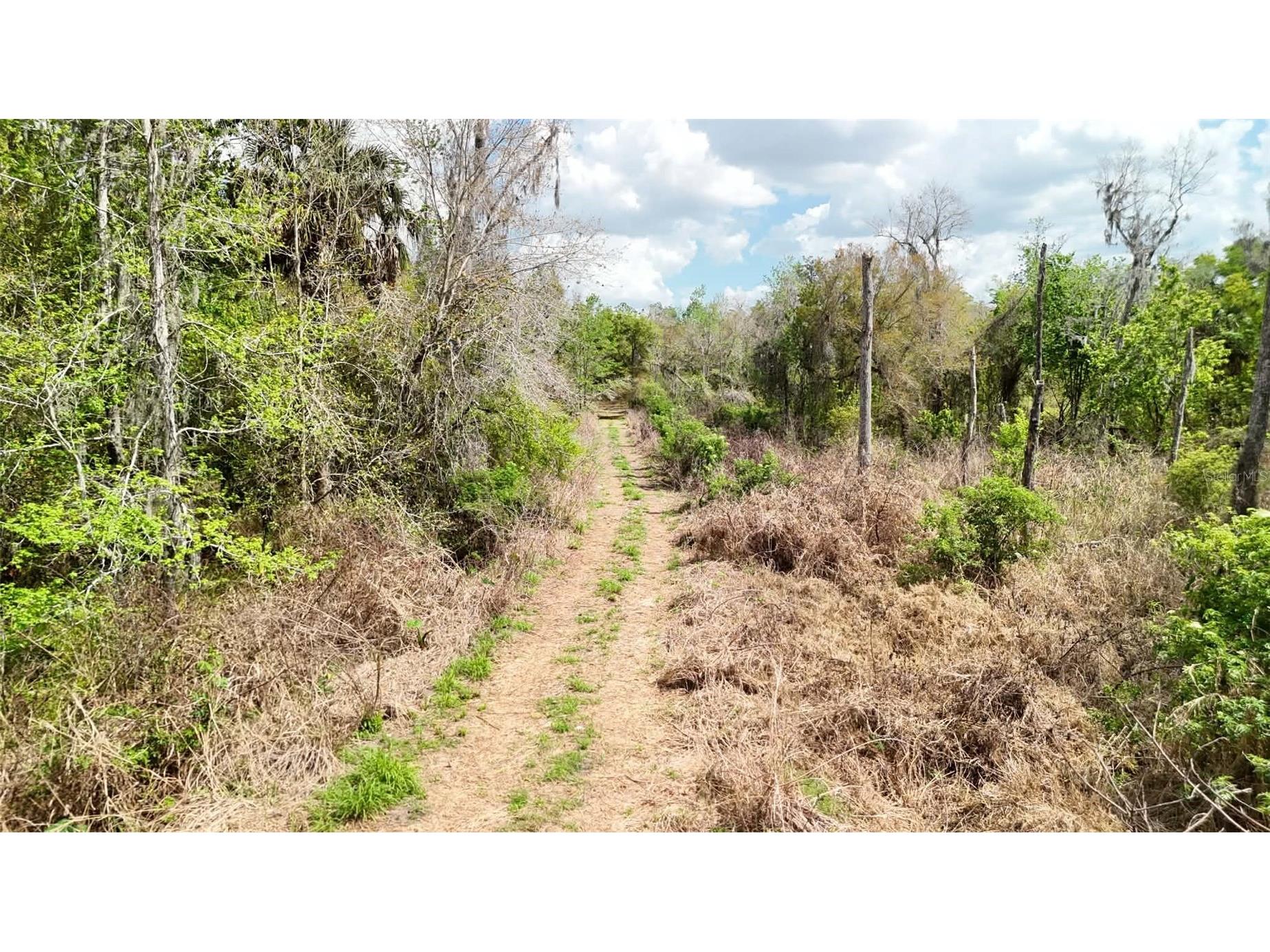 Gillette Road Zolfo Springs FL 33890 P4938092 image20