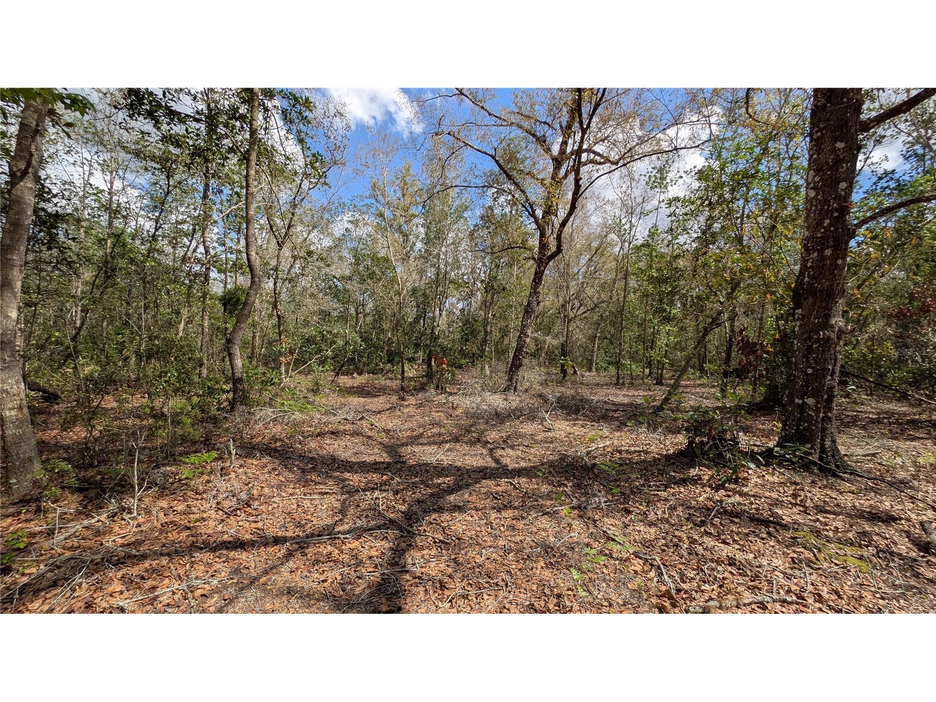 Gillette Road Zolfo Springs FL 33890 P4938092 image21