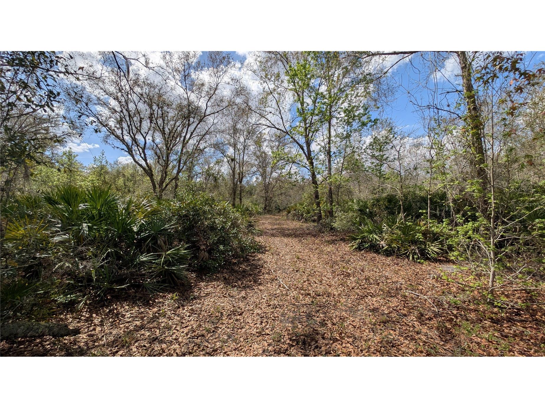 Gillette Road Zolfo Springs FL 33890 P4938092 image22