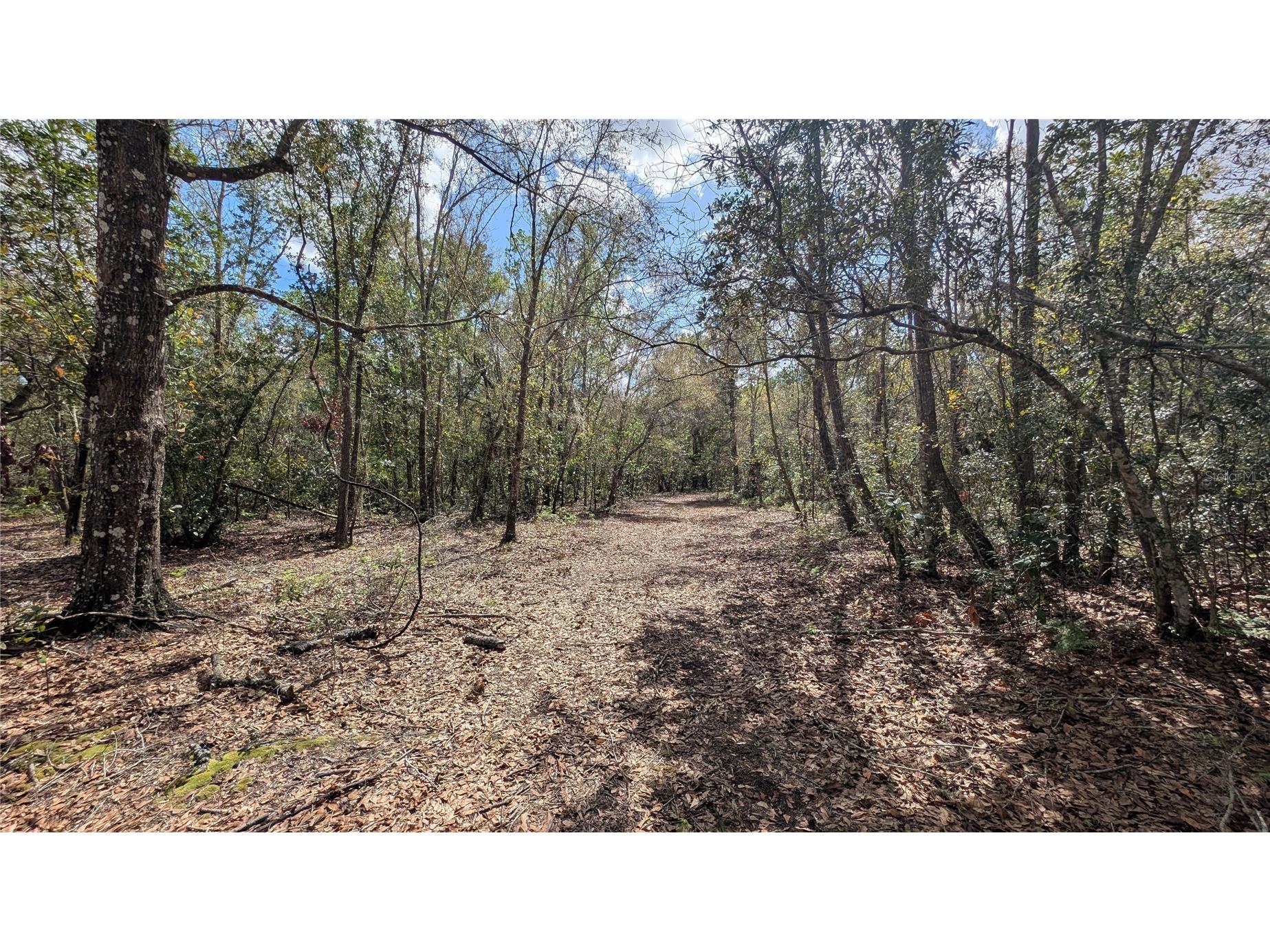 Gillette Road Zolfo Springs FL 33890 P4938092 image23