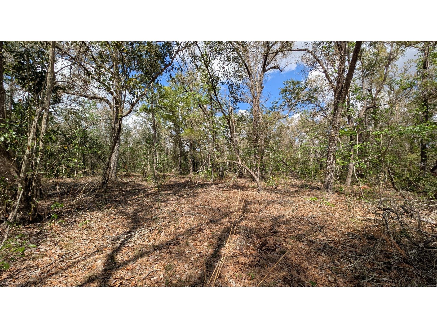 Gillette Road Zolfo Springs FL 33890 P4938092 image24