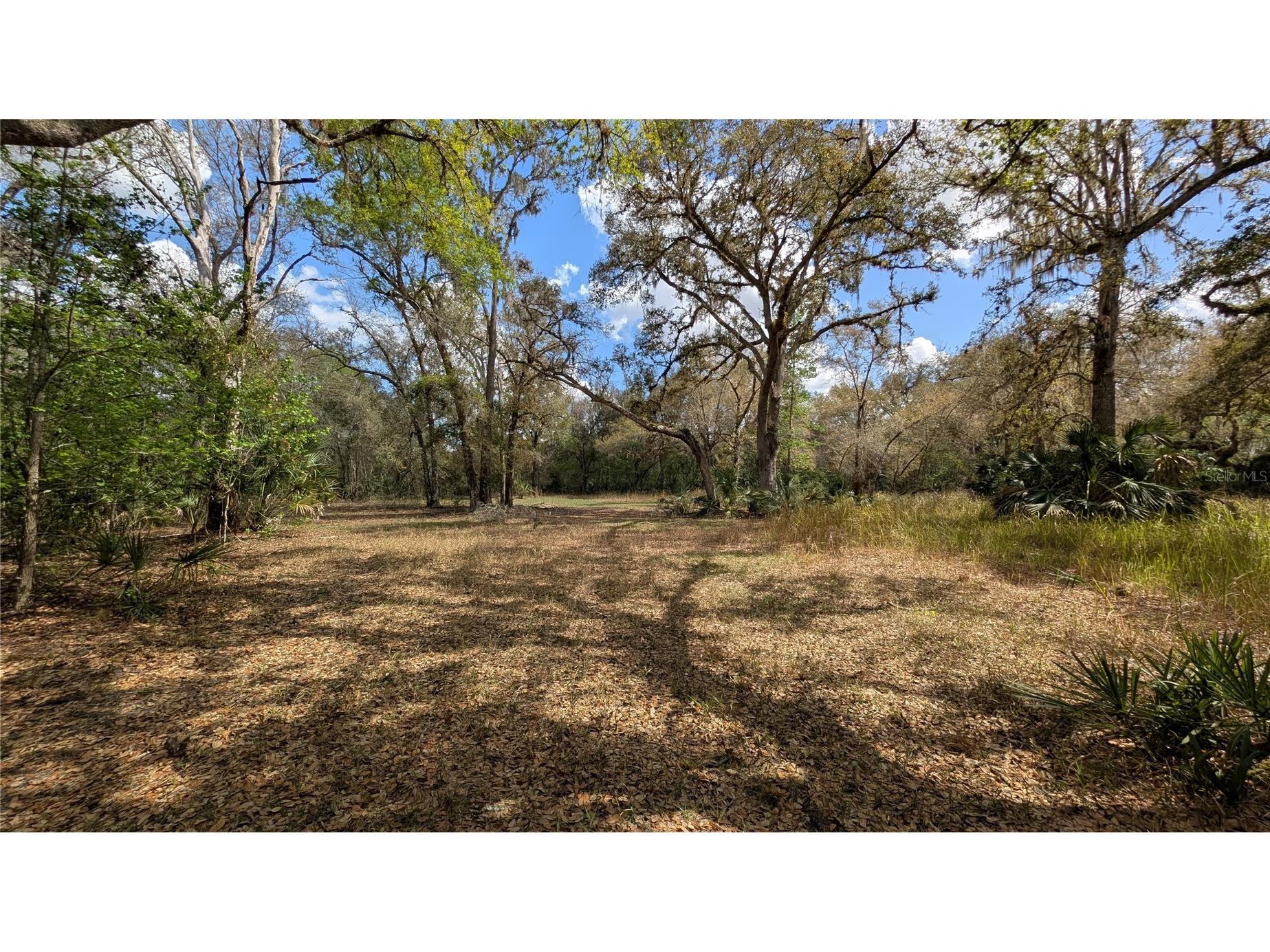 Gillette Road Zolfo Springs FL 33890 P4938092 image25