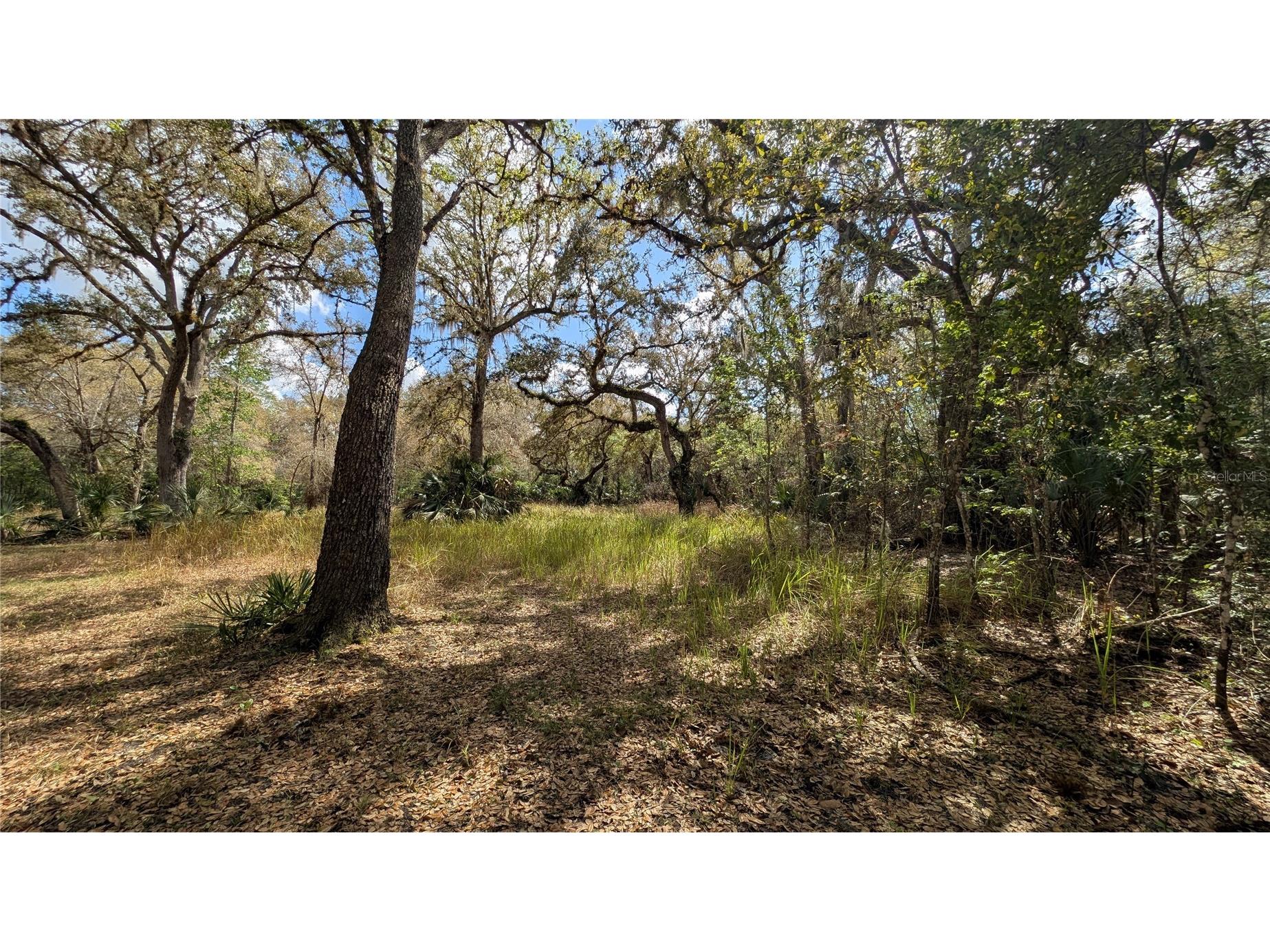 Gillette Road Zolfo Springs FL 33890 P4938092 image27