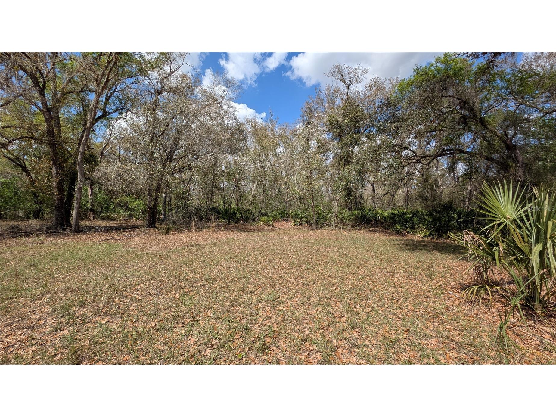 Gillette Road Zolfo Springs FL 33890 P4938092 image28