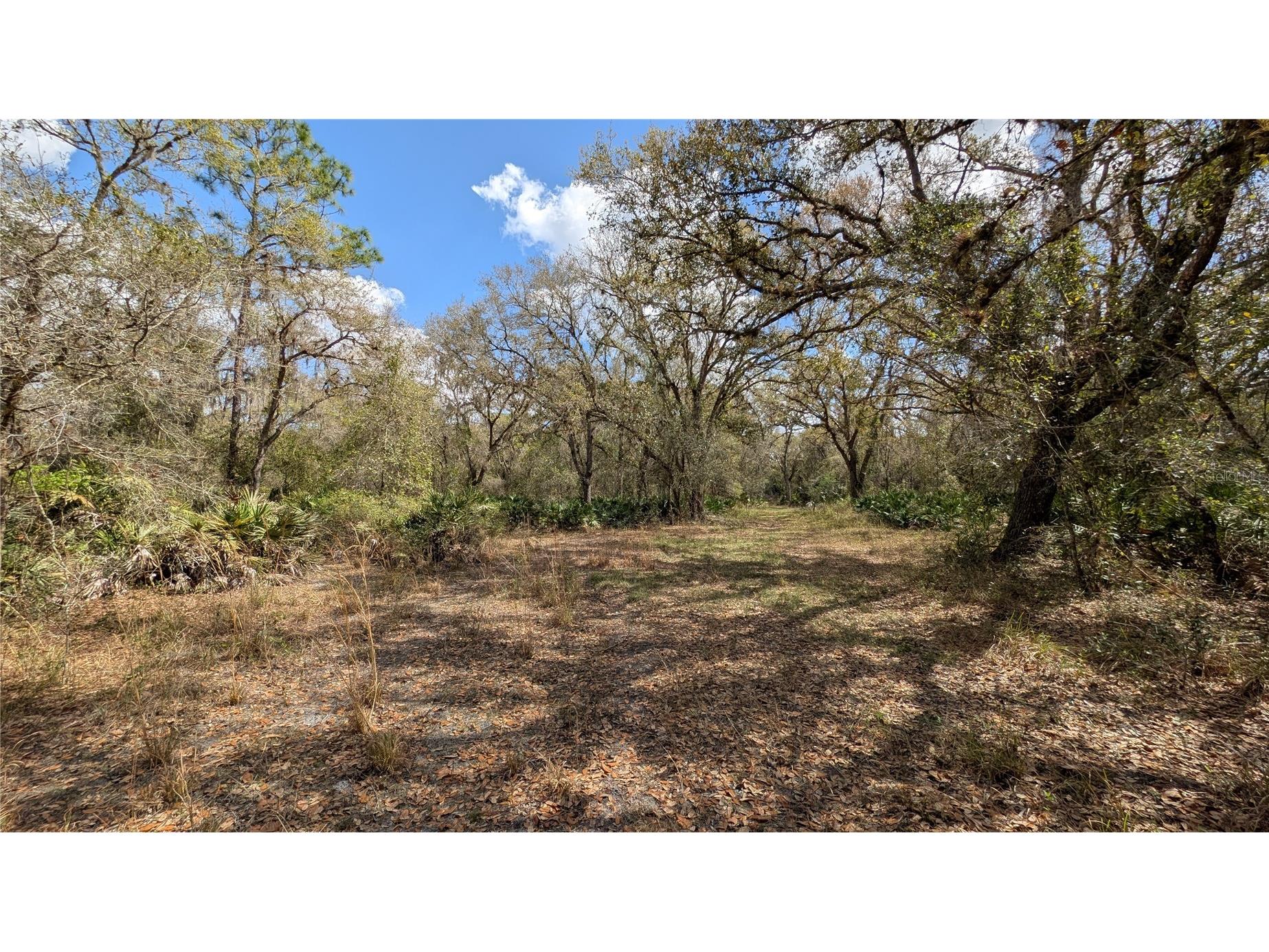 Gillette Road Zolfo Springs FL 33890 P4938092 image29