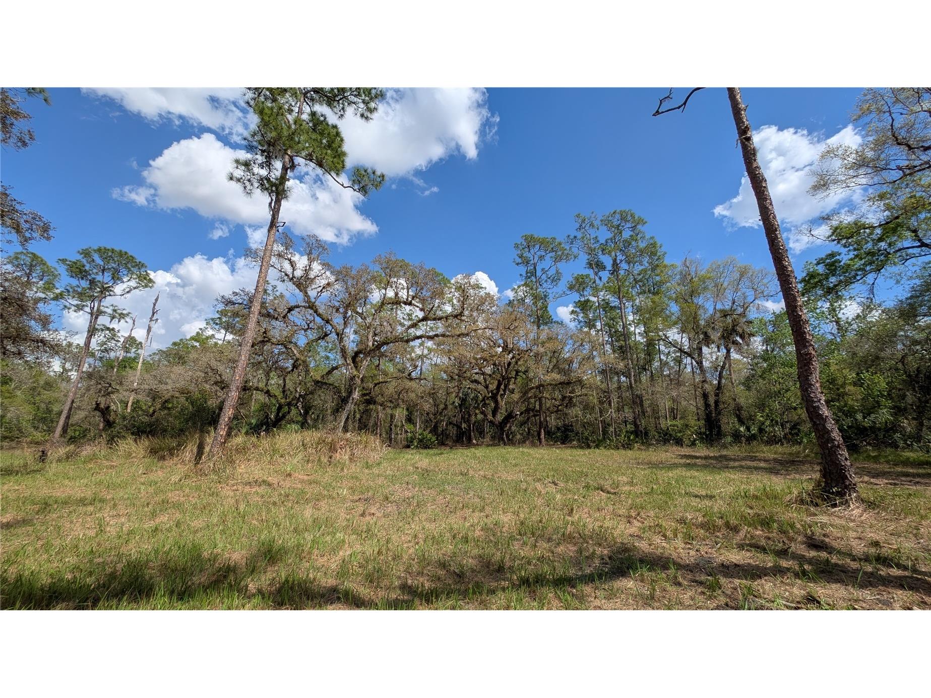 Gillette Road Zolfo Springs FL 33890 P4938092 image3
