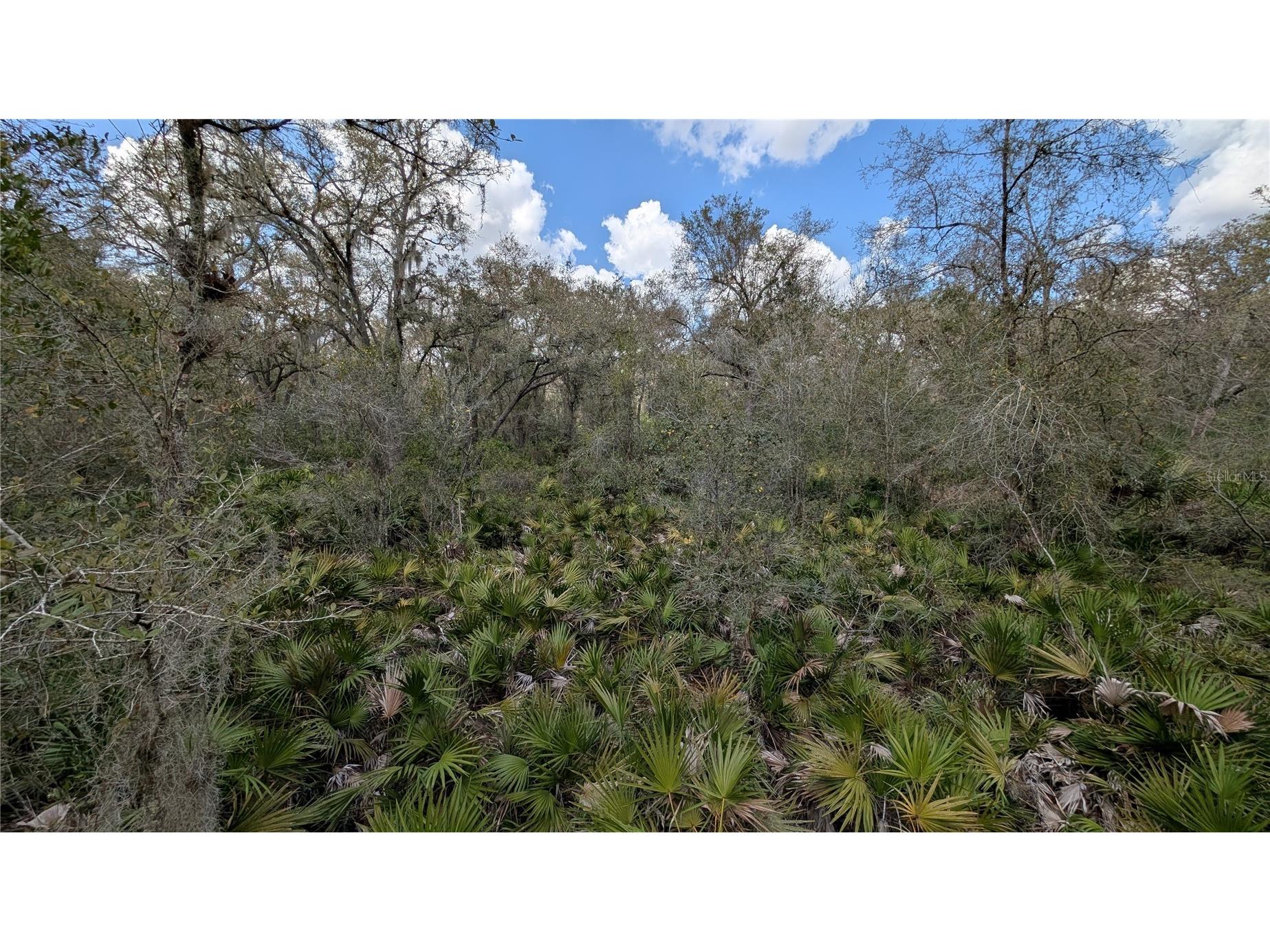 Gillette Road Zolfo Springs FL 33890 P4938092 image30