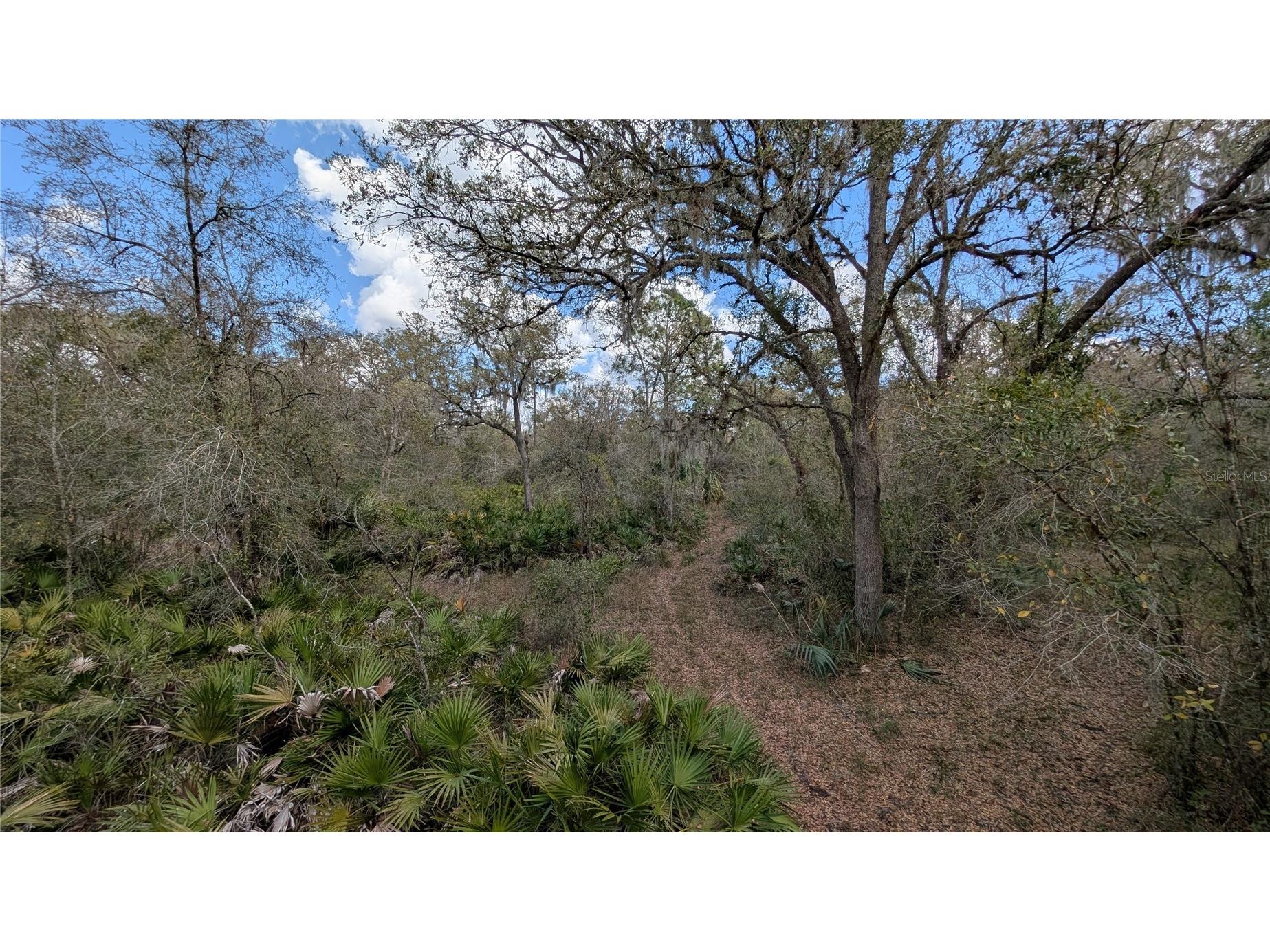 Gillette Road Zolfo Springs FL 33890 P4938092 image31