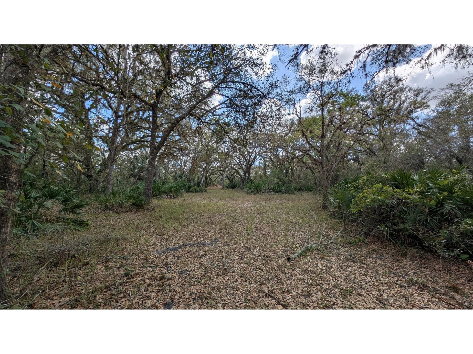 Gillette Road Zolfo Springs FL 33890 P4938092 image32