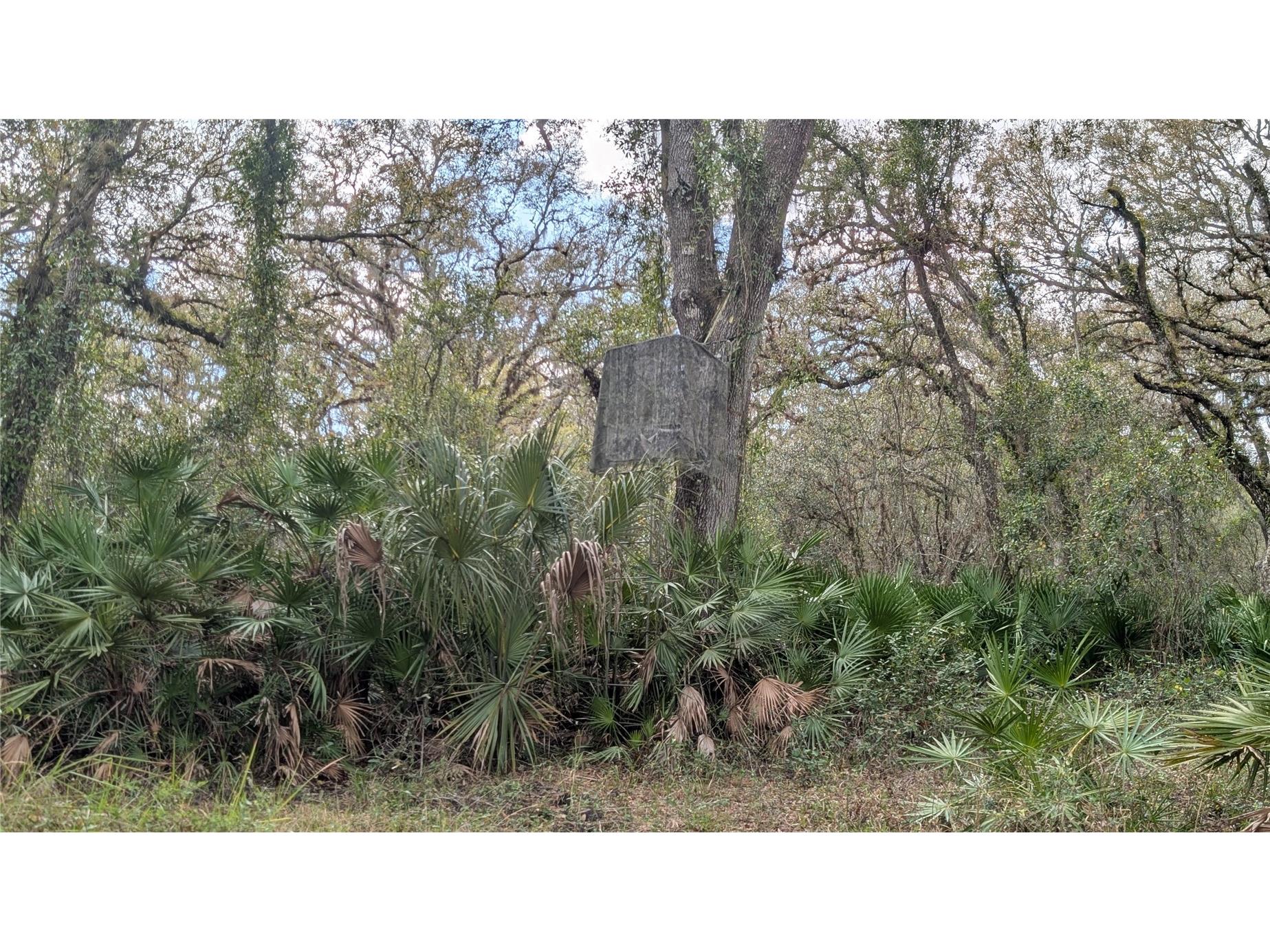 Gillette Road Zolfo Springs FL 33890 P4938092 image33