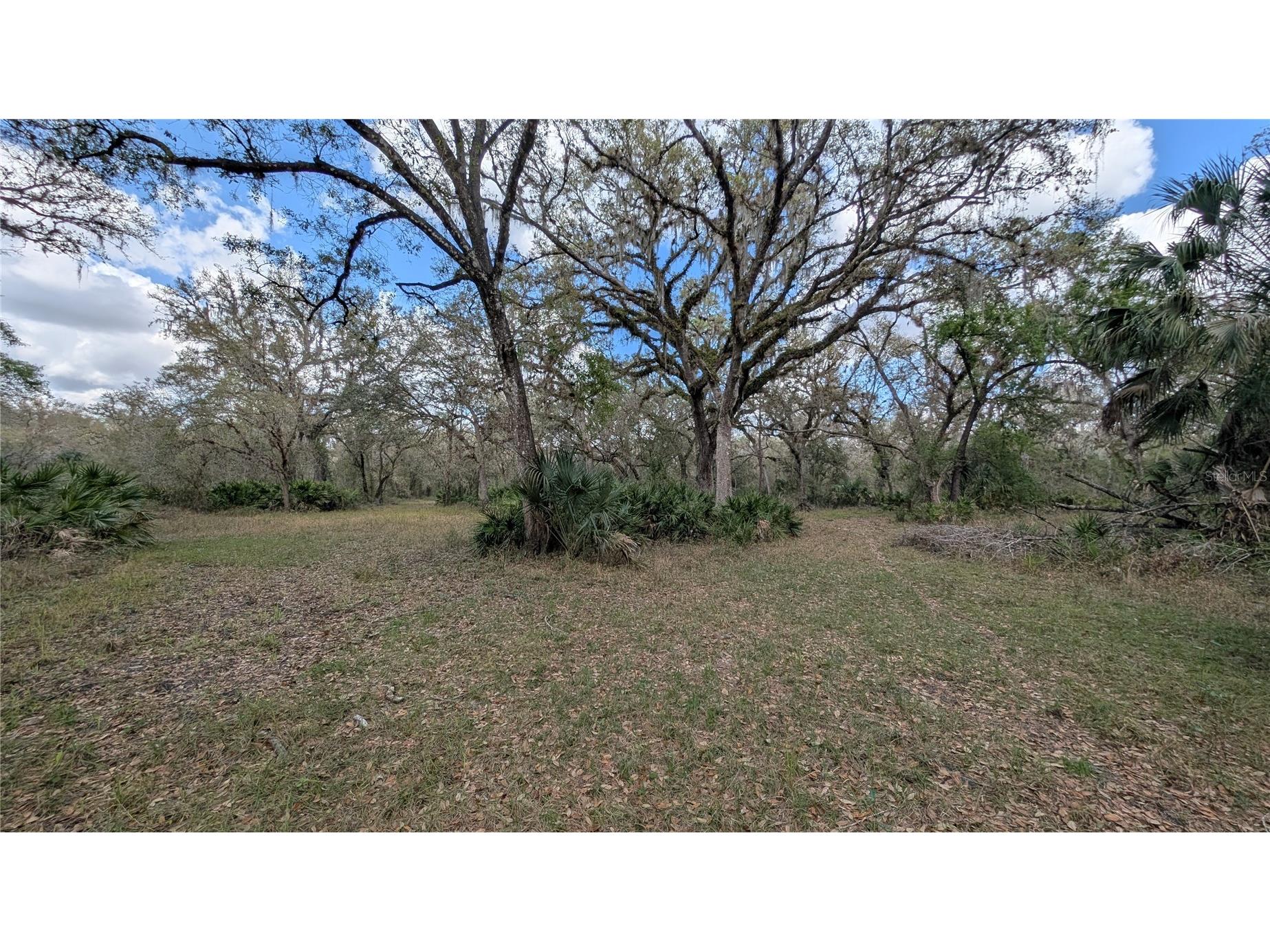 Gillette Road Zolfo Springs FL 33890 P4938092 image34