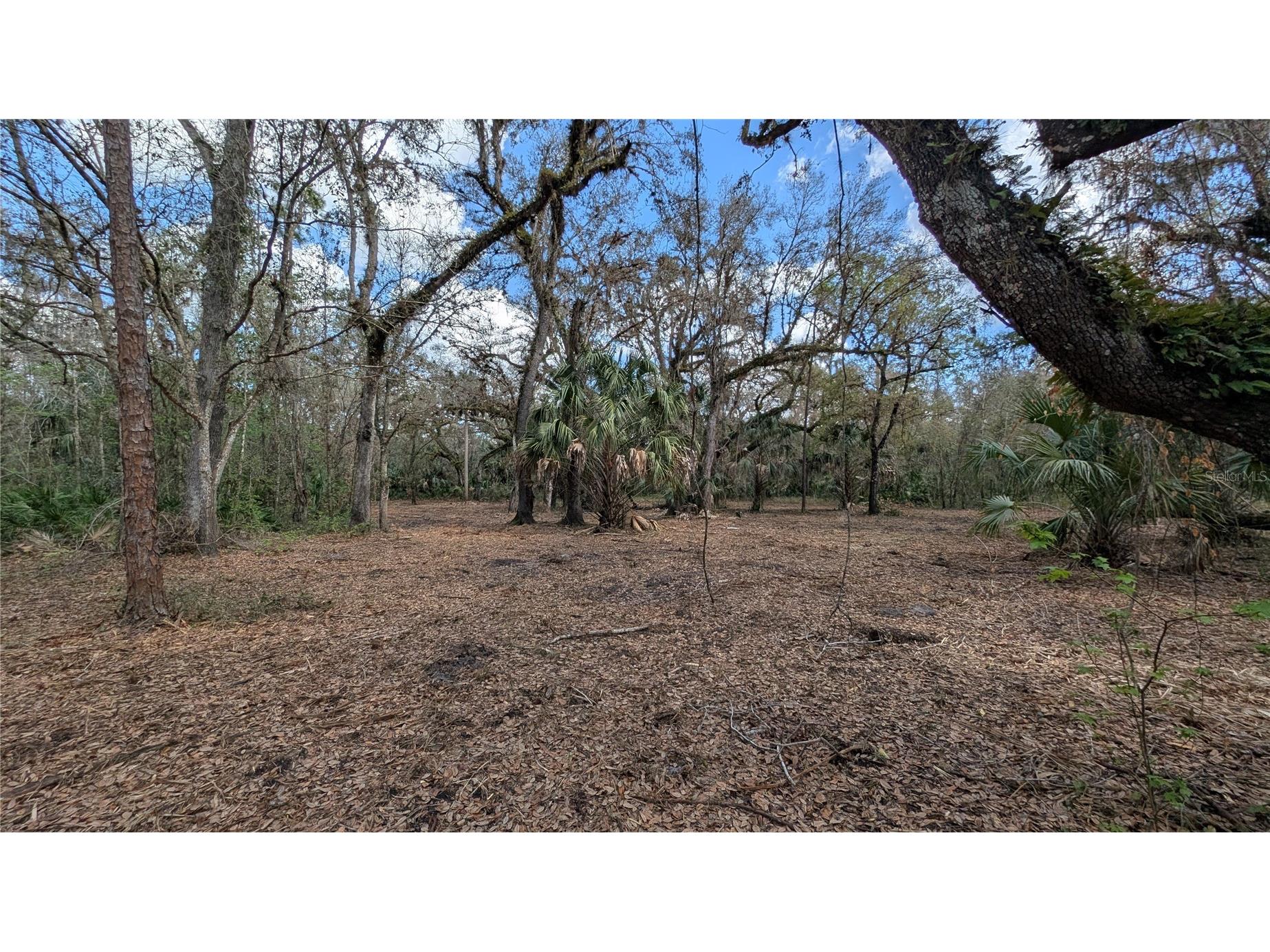 Gillette Road Zolfo Springs FL 33890 P4938092 image35
