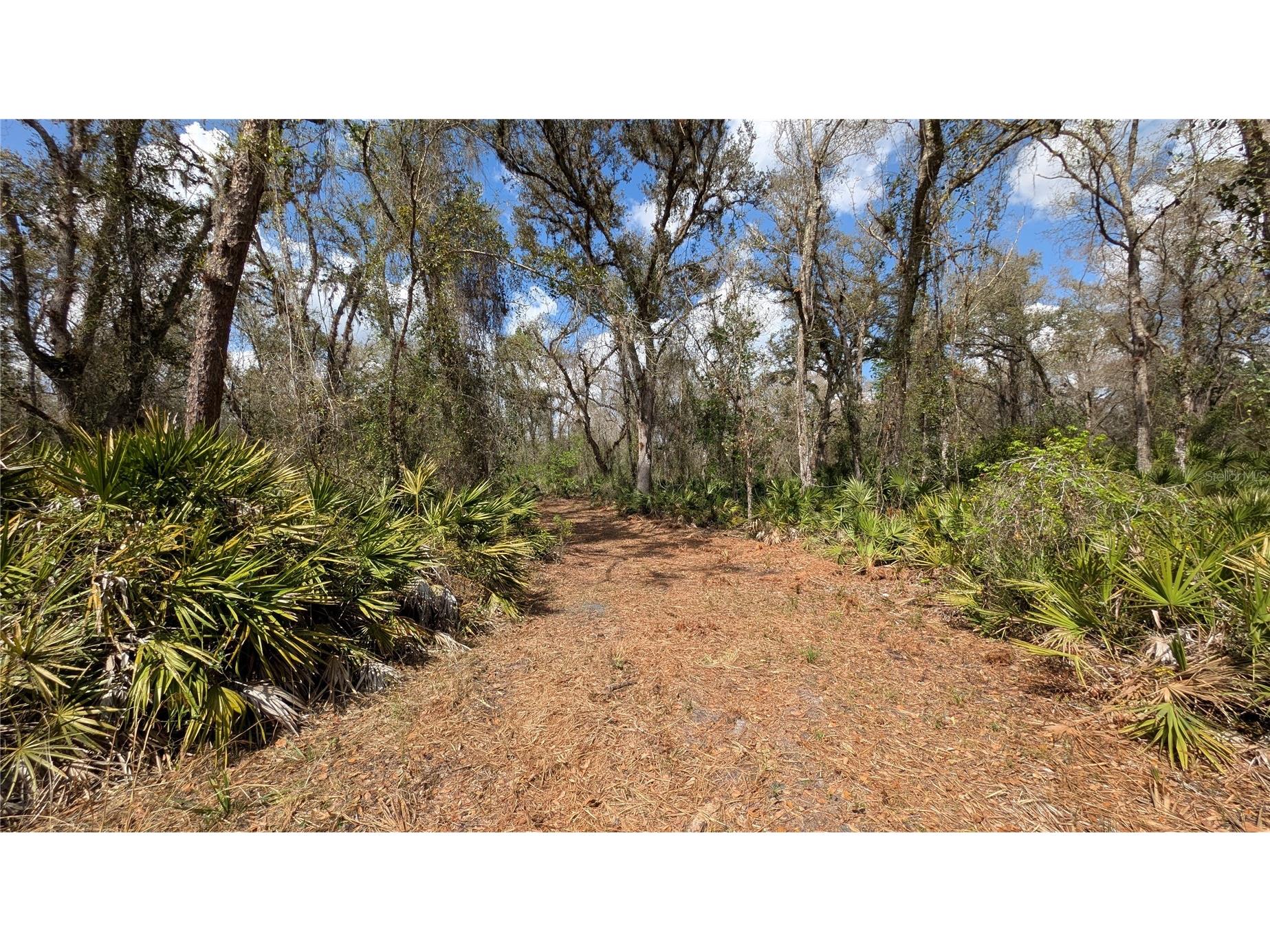 Gillette Road Zolfo Springs FL 33890 P4938092 image36