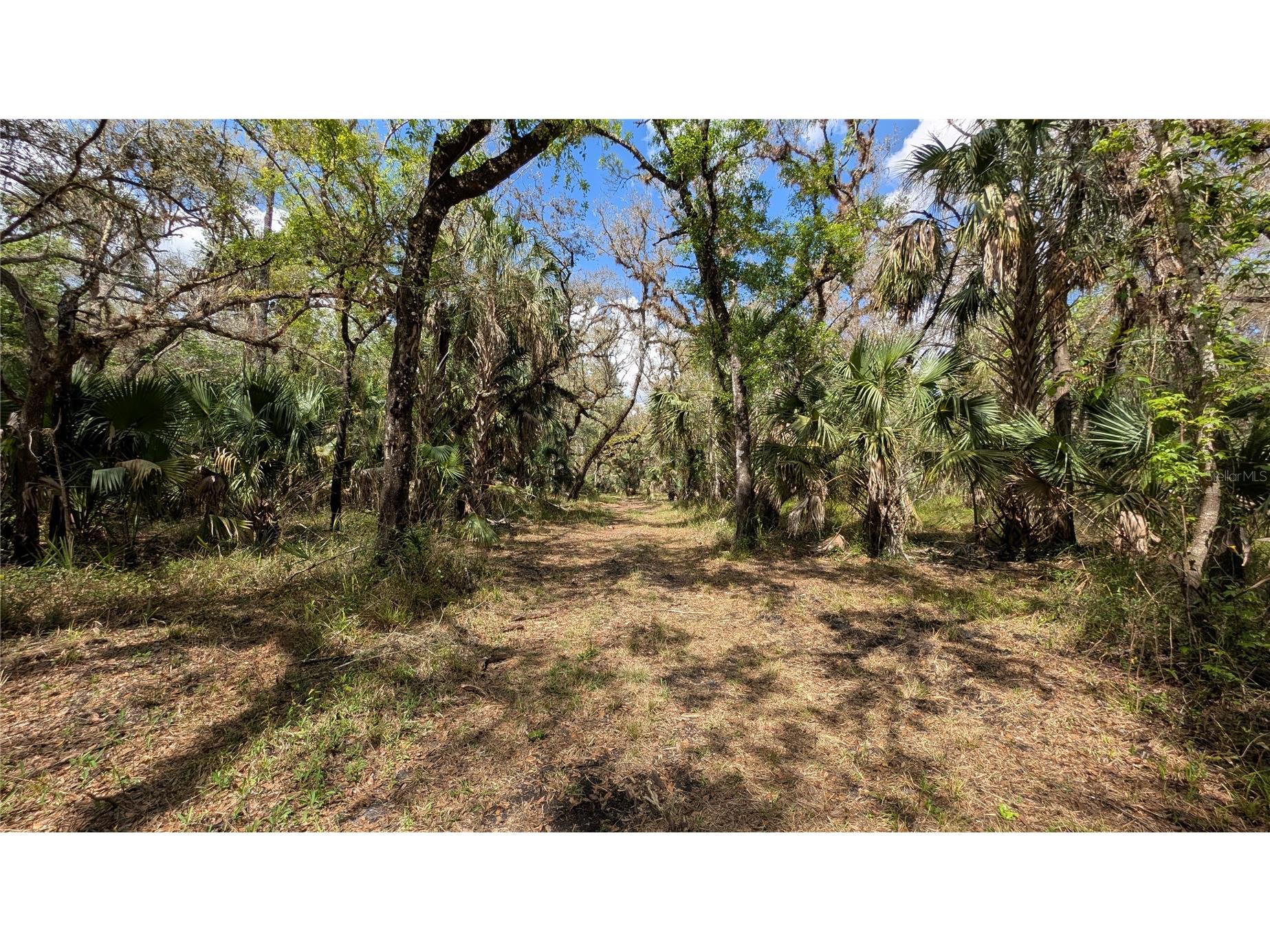 Gillette Road Zolfo Springs FL 33890 P4938092 image37