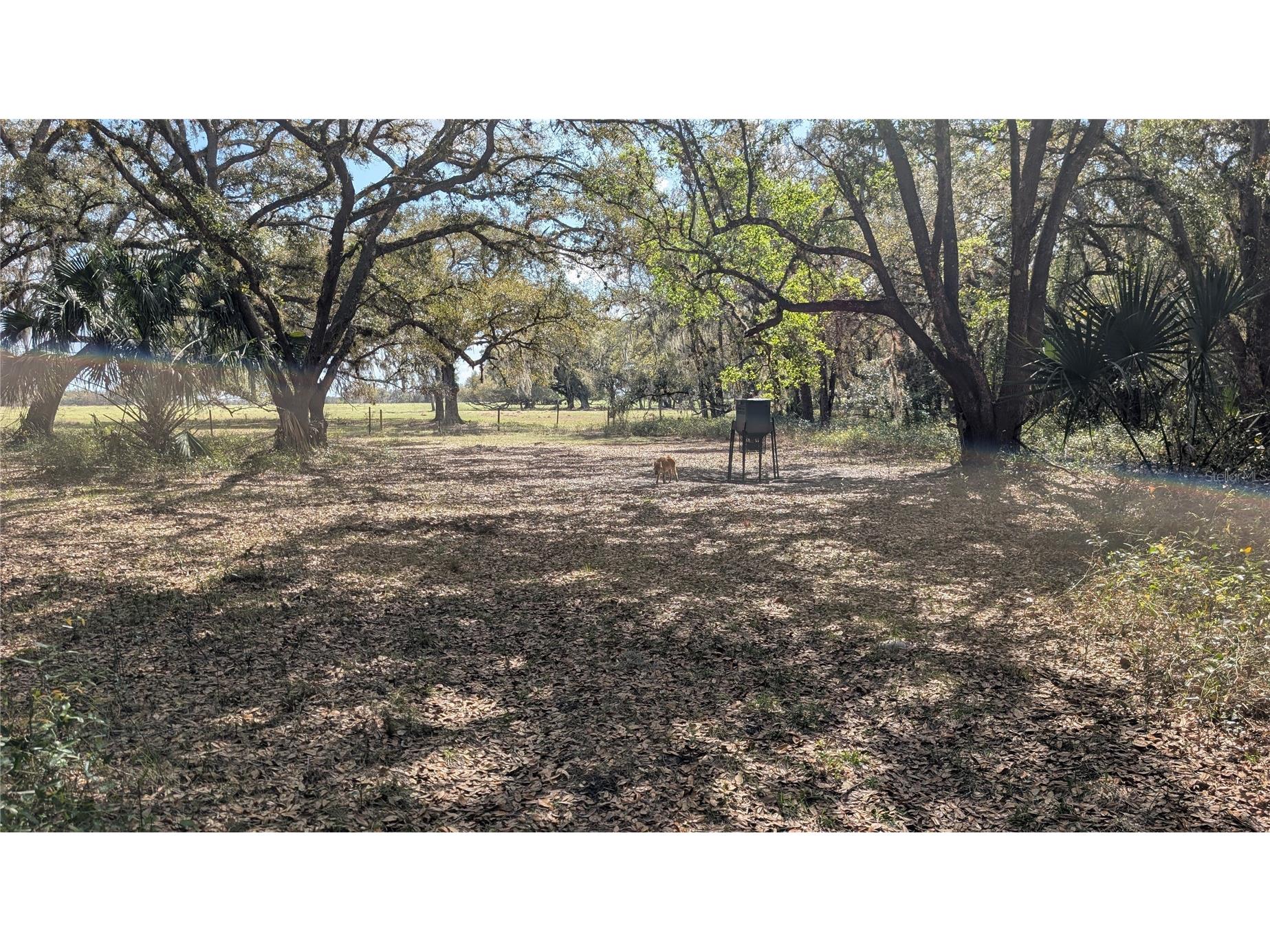 Gillette Road Zolfo Springs FL 33890 P4938092 image38