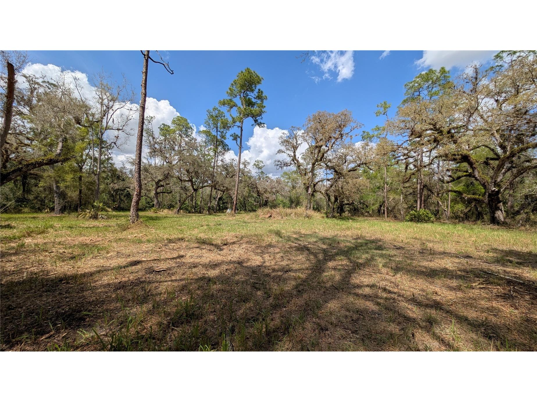 Gillette Road Zolfo Springs FL 33890 P4938092 image39