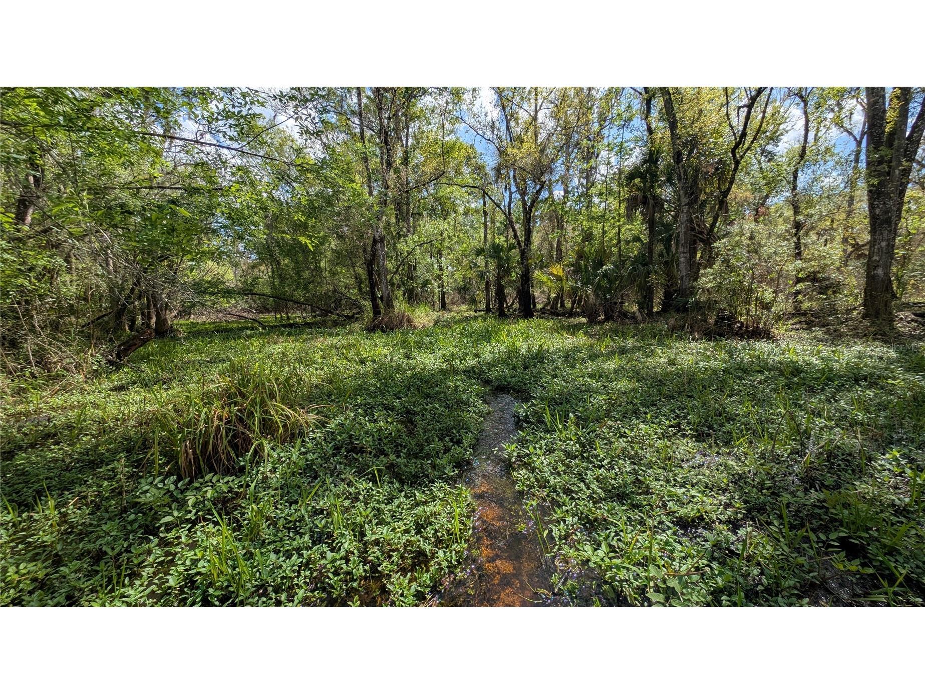 Gillette Road Zolfo Springs FL 33890 P4938092 image4