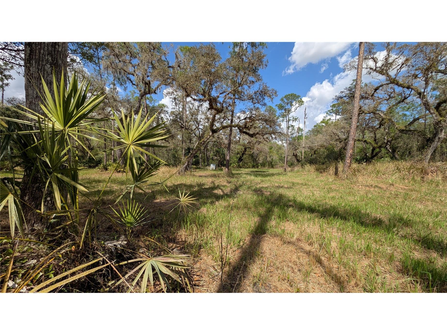 Gillette Road Zolfo Springs FL 33890 P4938092 image40