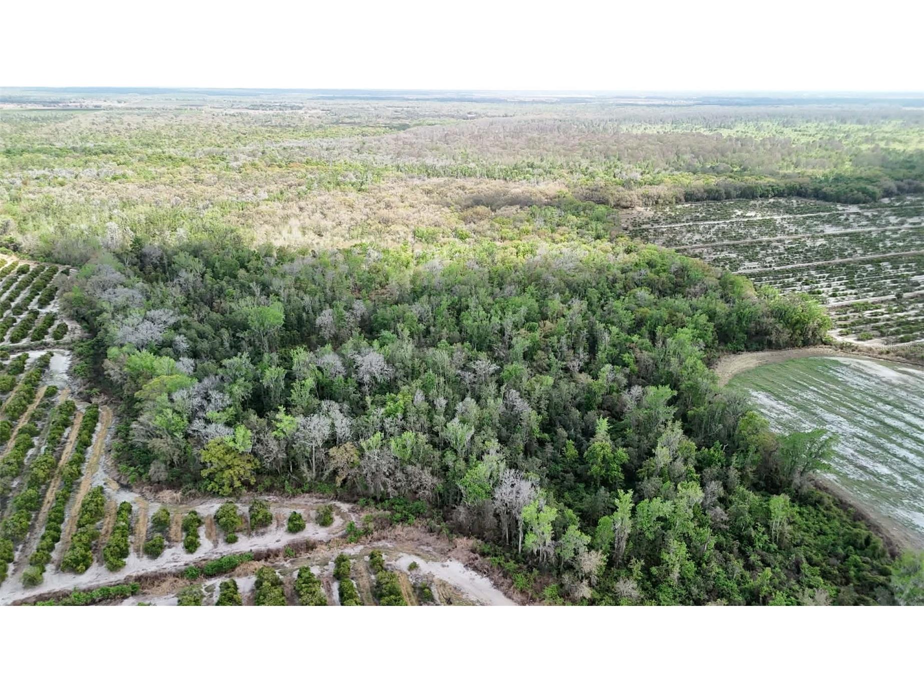 Gillette Road Zolfo Springs FL 33890 P4938092 image42