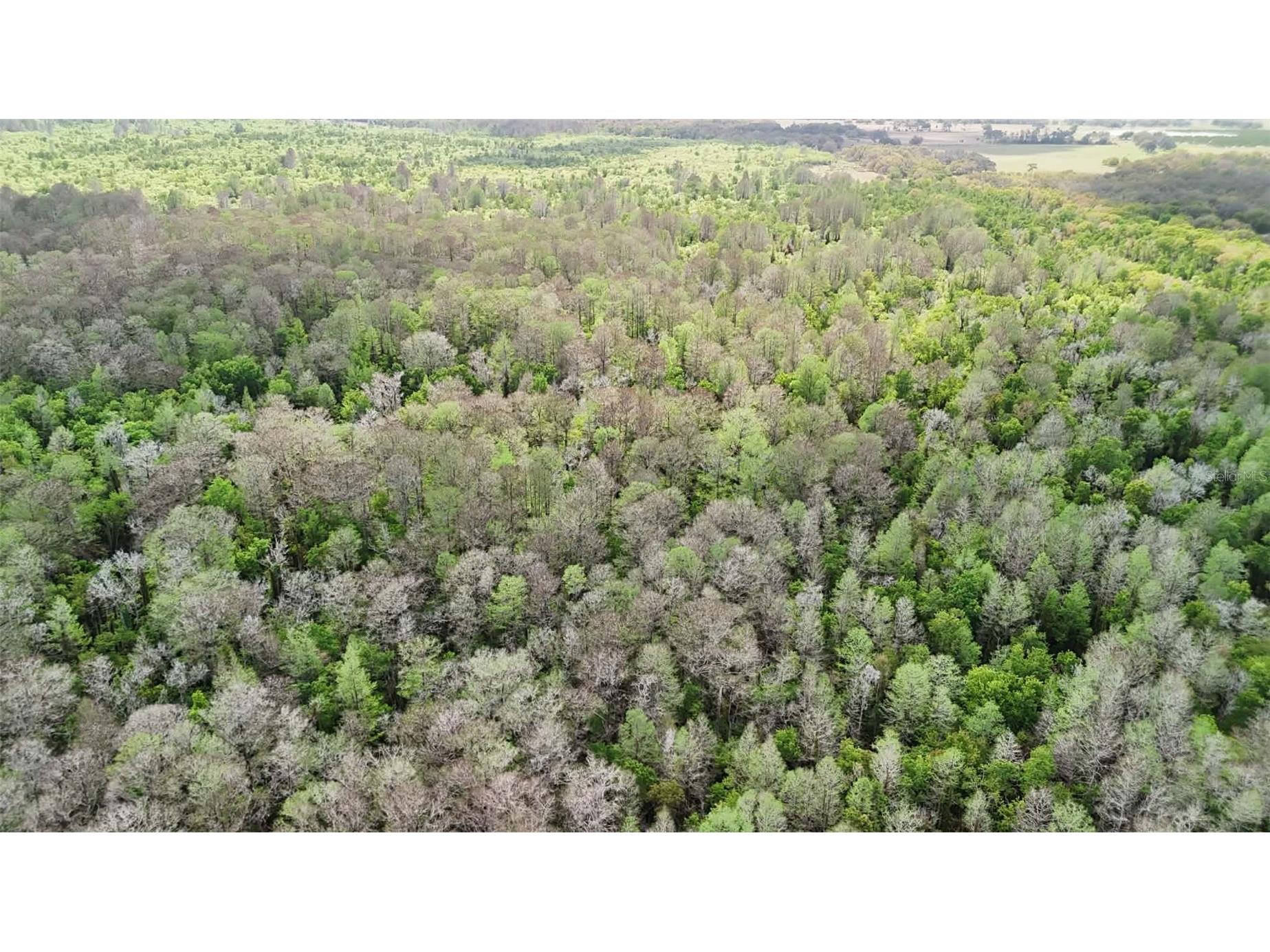 Gillette Road Zolfo Springs FL 33890 P4938092 image44