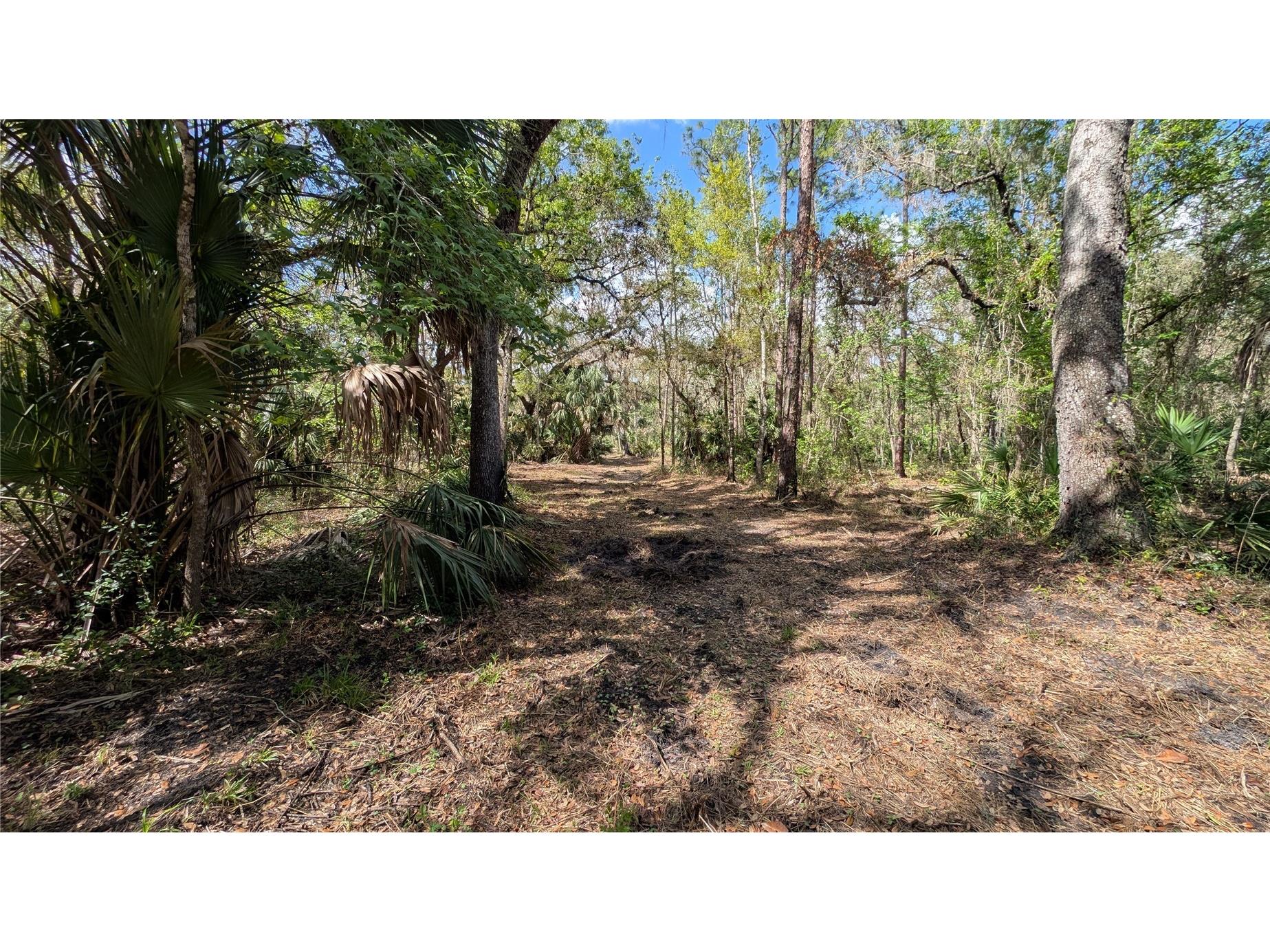 Gillette Road Zolfo Springs FL 33890 P4938092 image45