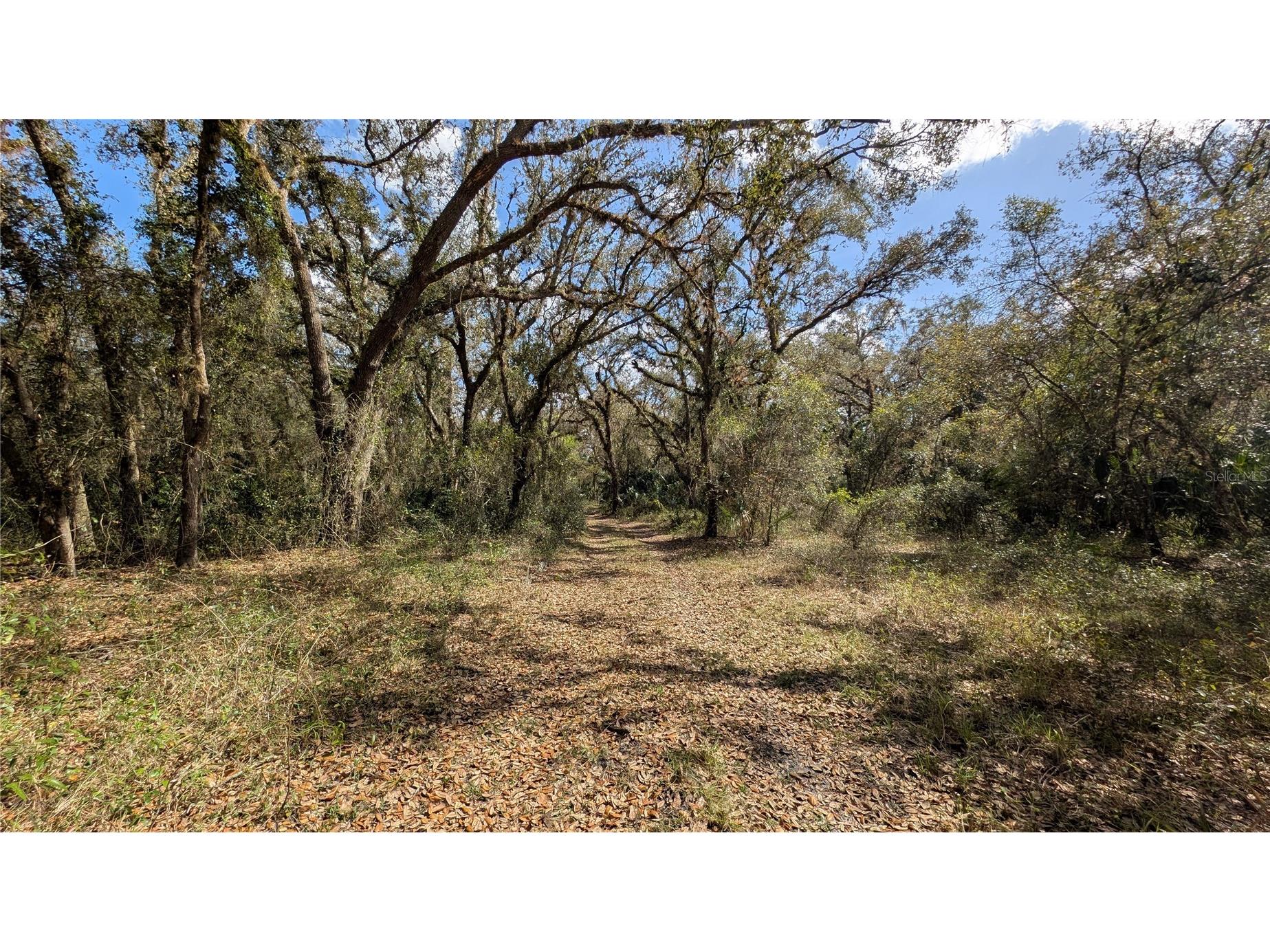 Gillette Road Zolfo Springs FL 33890 P4938092 image46